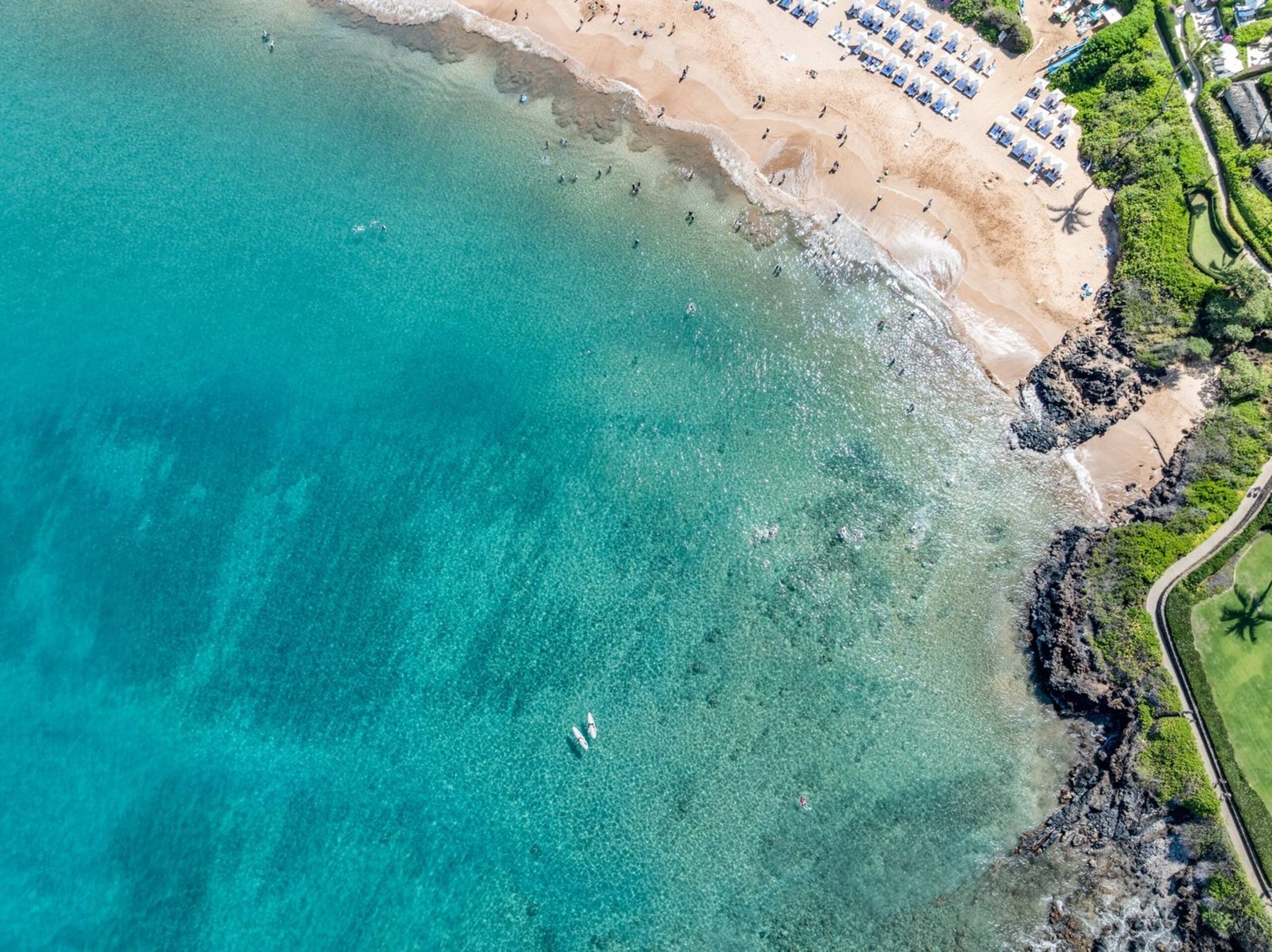 Condo in Kihei · ★4.67 · 2 bedrooms · 4 beds · 2 baths - Image 48