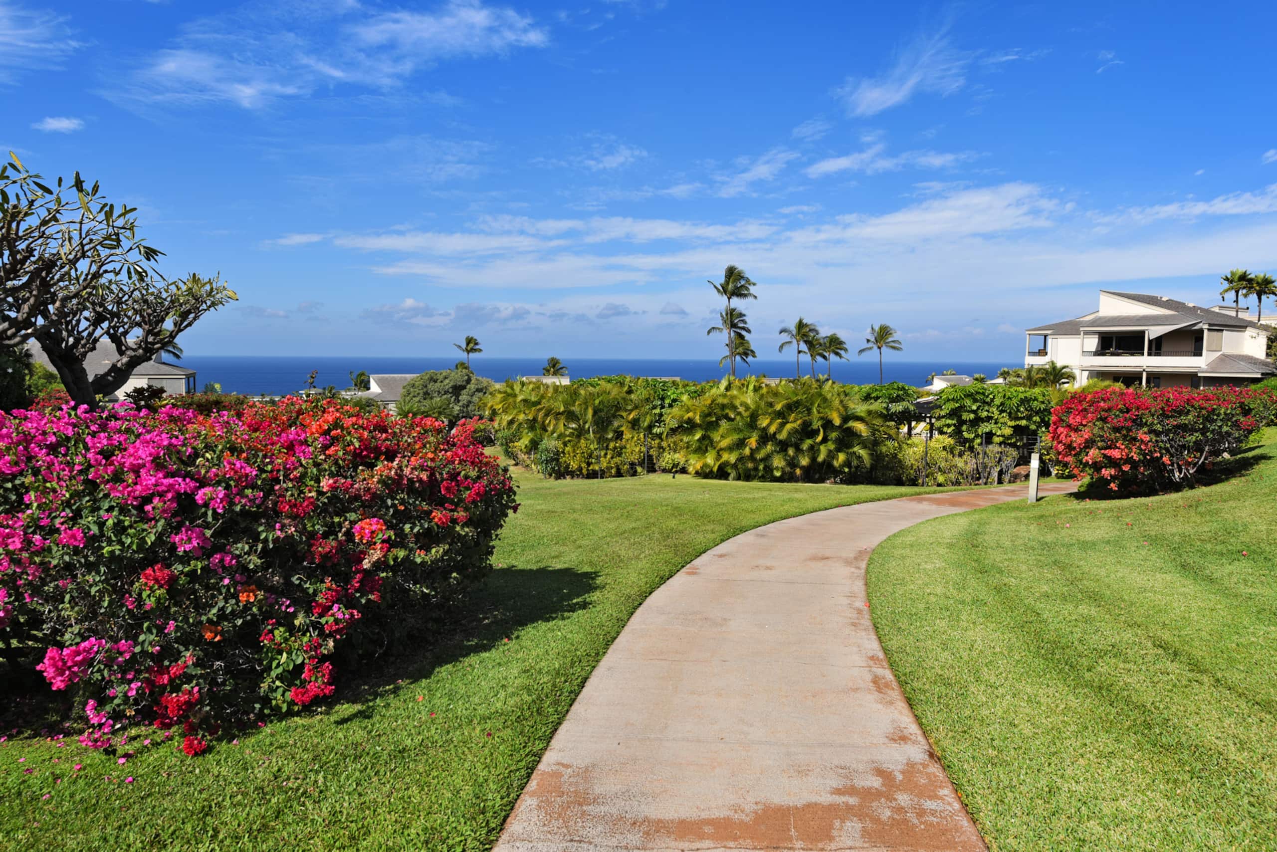 Condo in Kihei · ★4.67 · 2 bedrooms · 4 beds · 2 baths - Image 23
