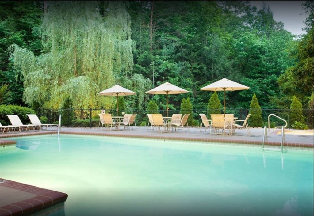 A swimming pool is situated at the edge of a serene forest, surrounded by lush greenery. Several lounge chairs and umbrellas provide shaded seating around the pool area, while tall trees create a tranquil backdrop.