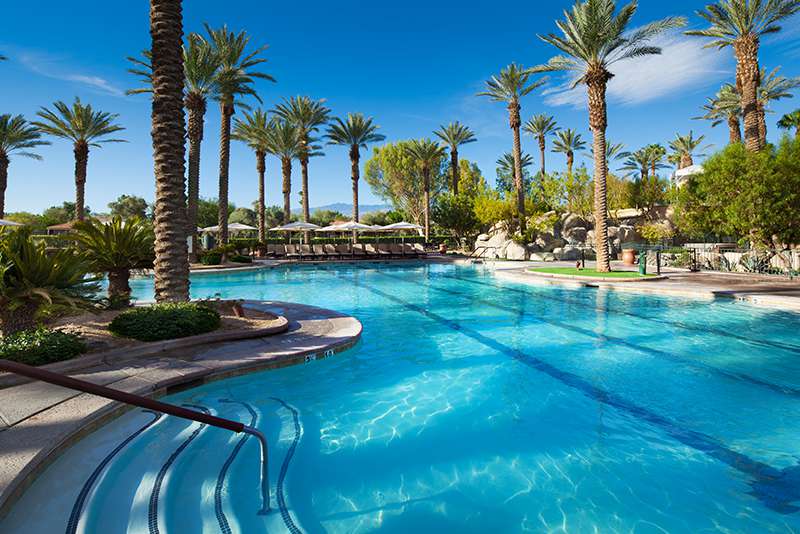 A large swimming pool is surrounded by palm trees, providing a serene outdoor setting. Lounge chairs are positioned along the pool's edge, with umbrellas offering shade. The clear water reflects the blue sky, creating a refreshing atmosphere for relaxation.