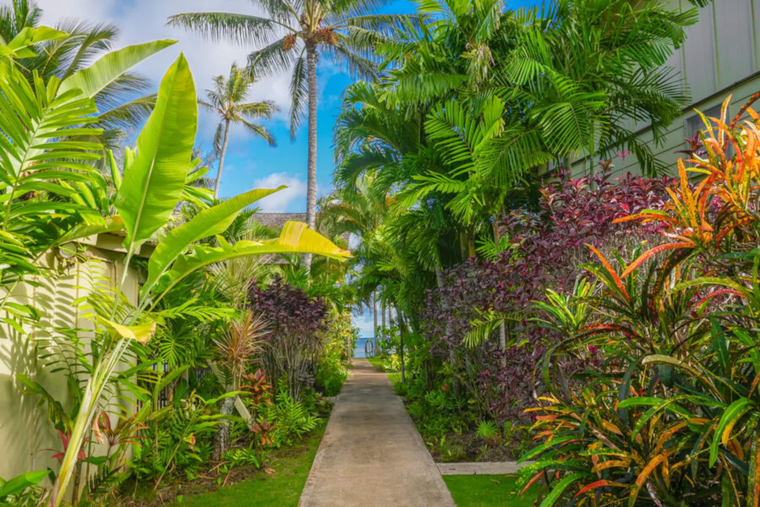 Condo in Kapaa · ★4.89 · 2 bedrooms · 2 beds · 1.5 baths - Image 27