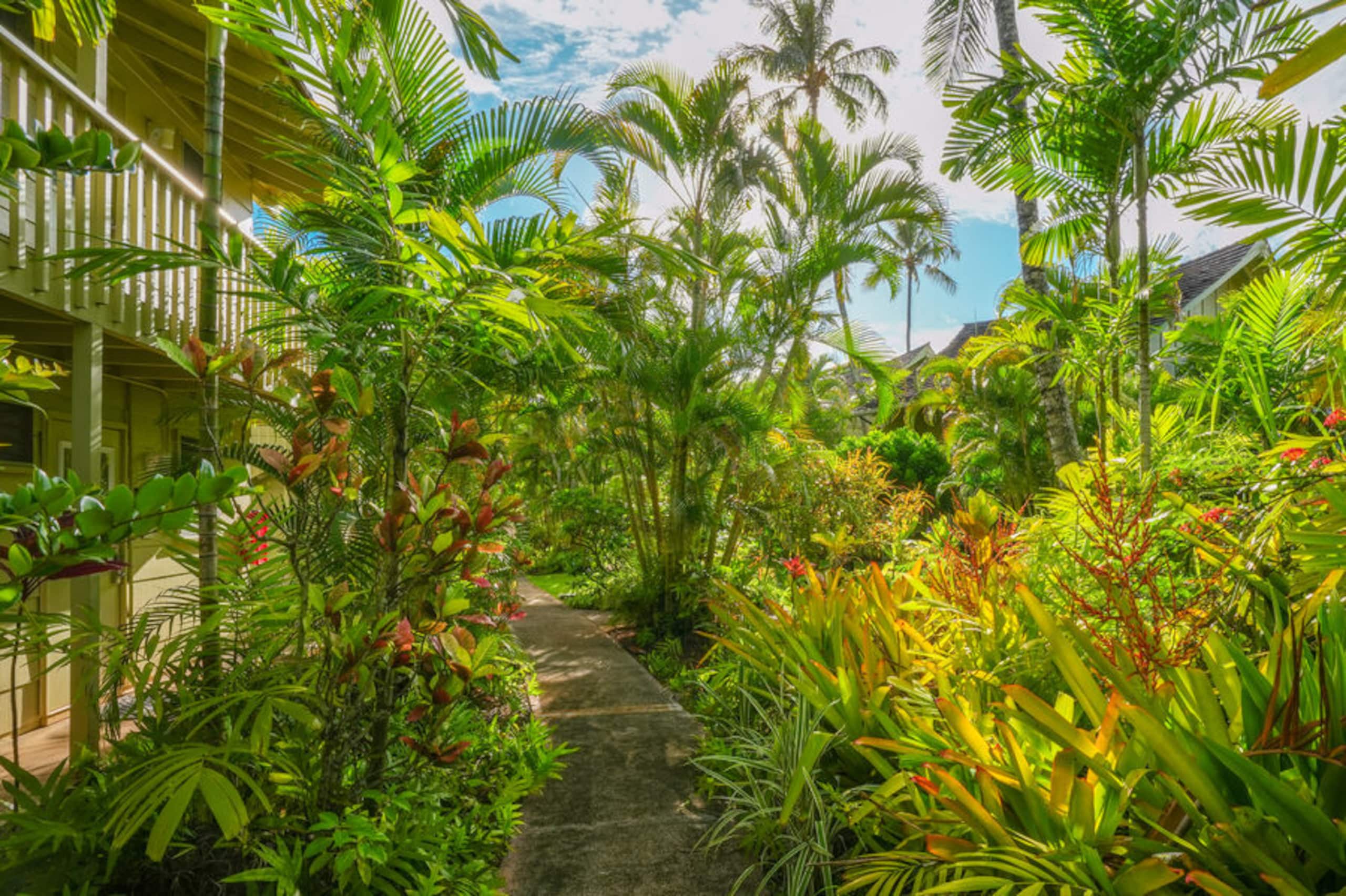 Condo in Kapaa · ★4.89 · 2 bedrooms · 2 beds · 1.5 baths - Image 20