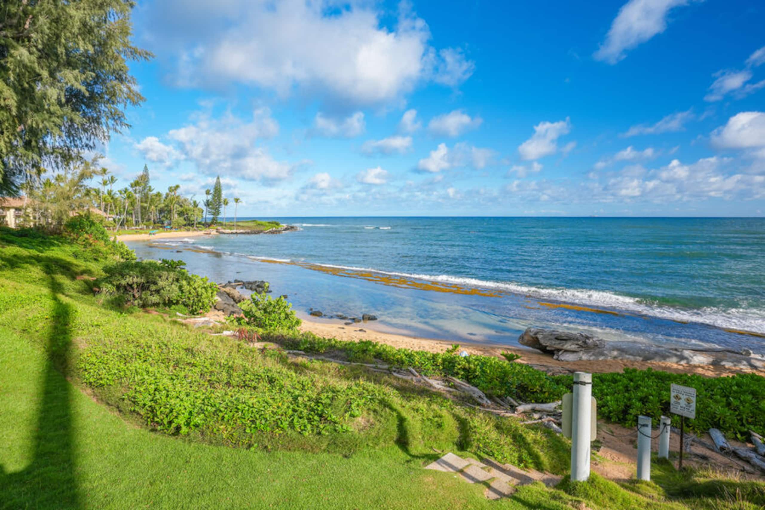 Condo in Kapaa · ★4.89 · 2 bedrooms · 2 beds · 1.5 baths - Image 23