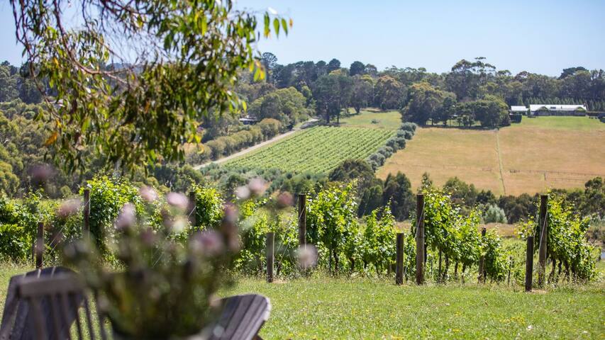 Bellas Block gallery image 5