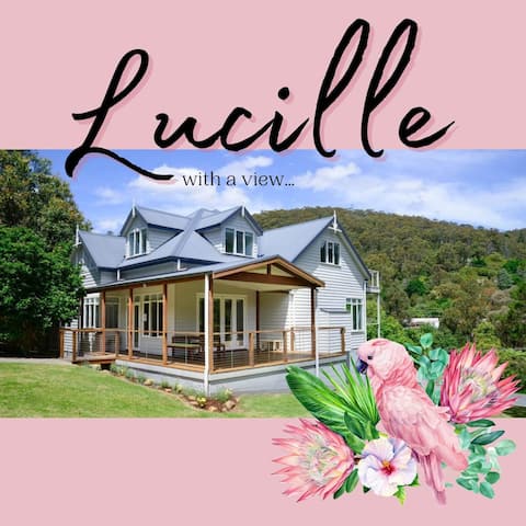 Top performing Airbnb: Lucille in Warburton