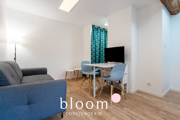 Magnifique Appartement Centre Ville - Nancy