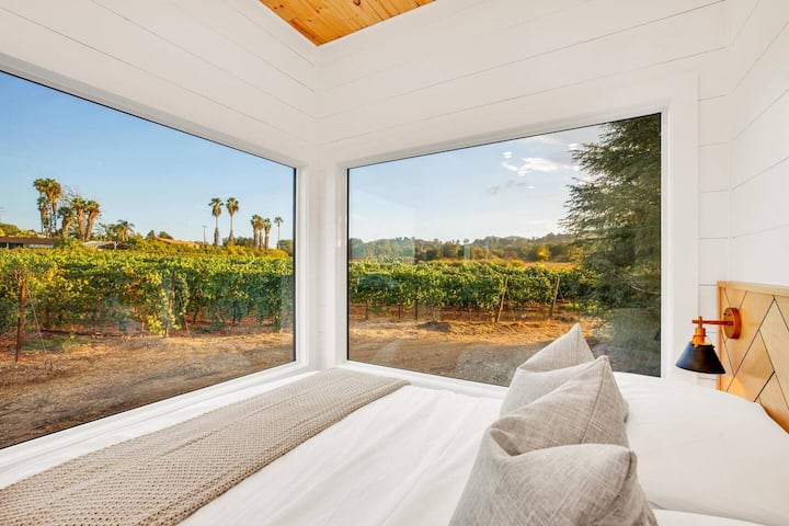 Vue sur les chambres avec vignes complètes au printemps/été/automne