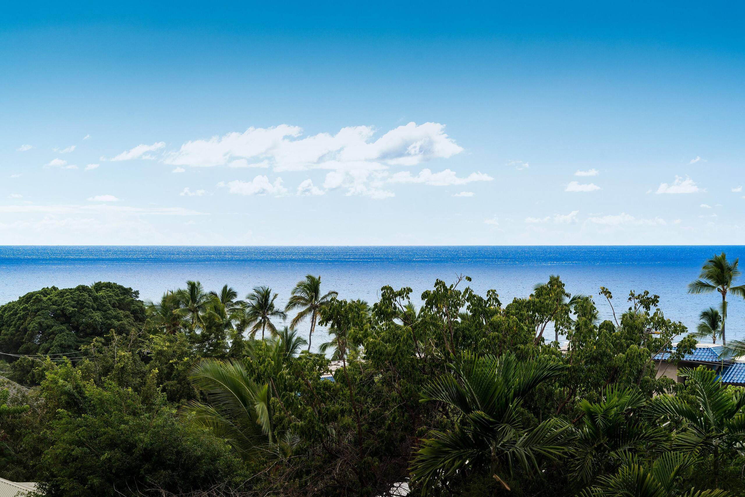 Home in Kailua-Kona · ★4.83 · 1 bedroom · 2 beds · 1 private bath - Image 25