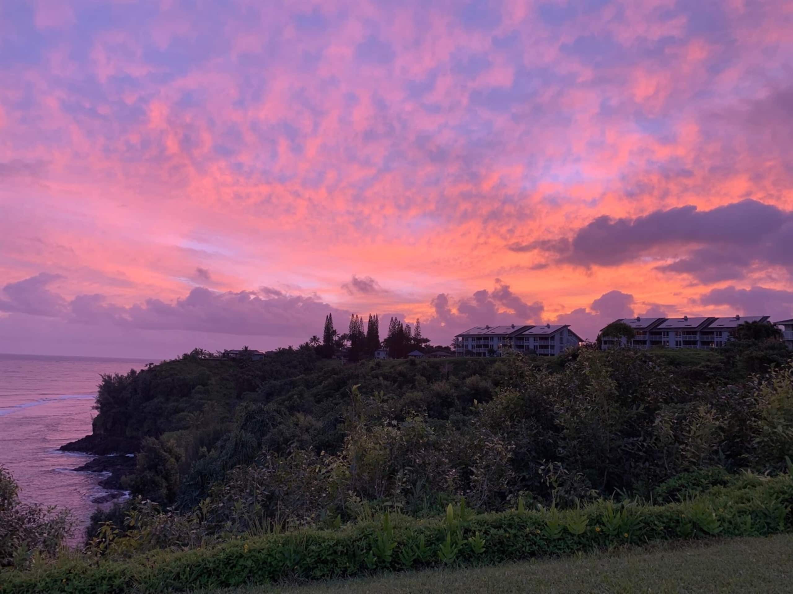 Condo in Princeville · ★4.94 · 2 bedrooms · 2 beds · 2 baths - Image 34