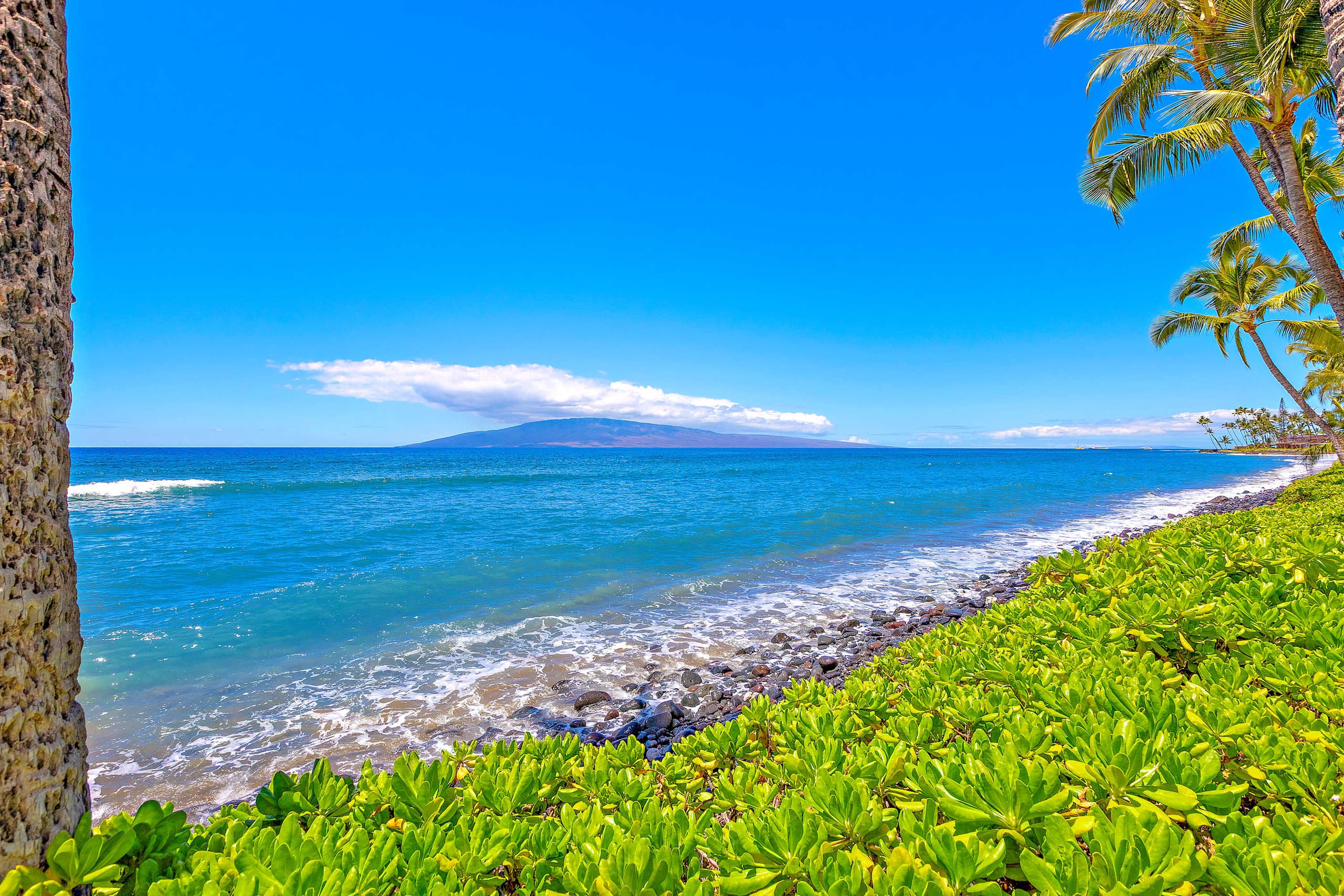 Townhouse in Lahaina · ★4.95 · 3 bedrooms · 4 beds · 2.5 baths - Image 112