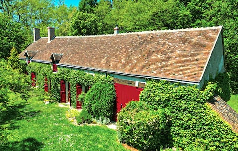 Awesome home in Selles-sur-Cher with WiFi
