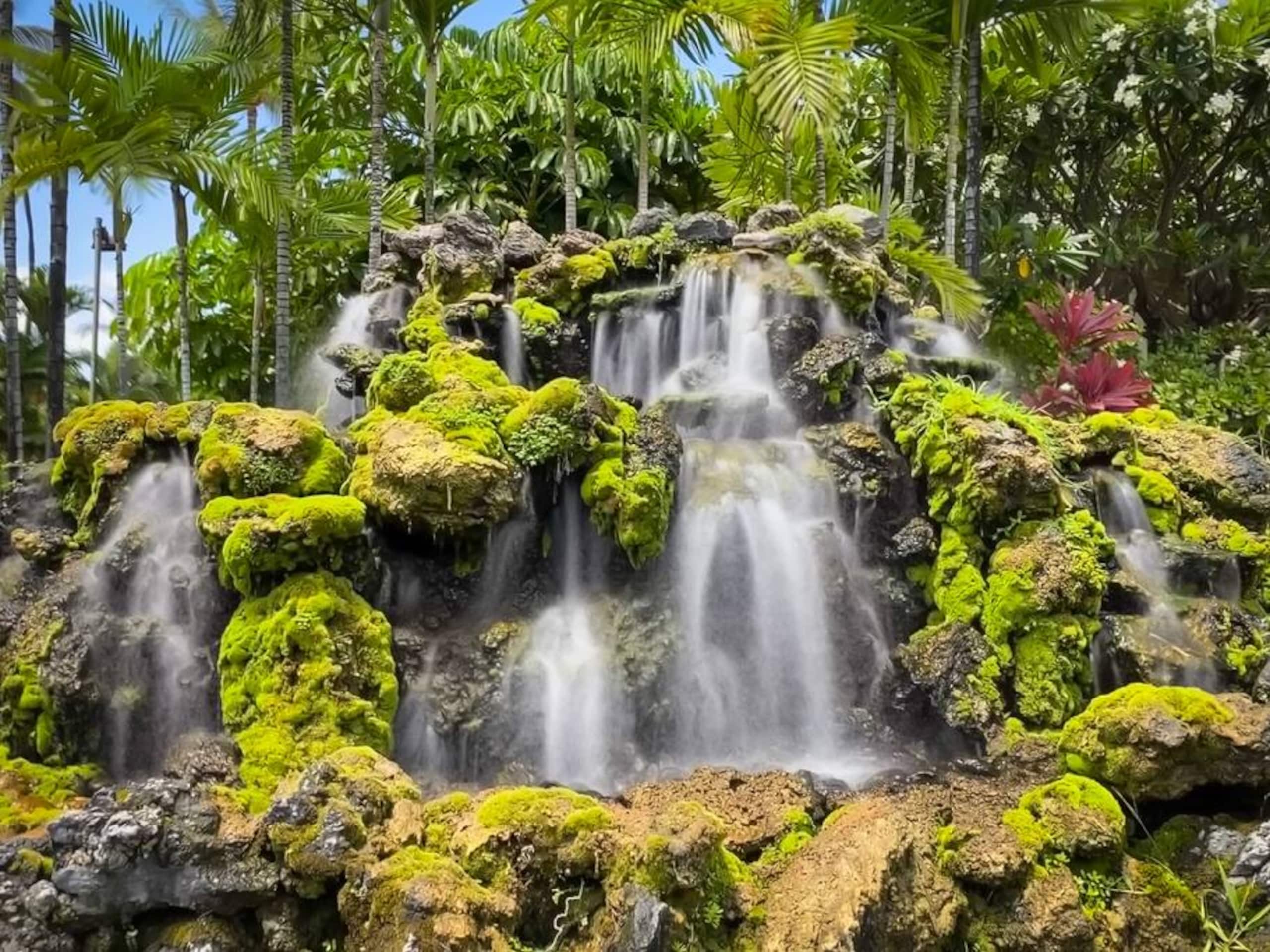 Condo in Wailea · ★4.94 · 1 bedroom · 2 beds · 1 bath - Image 18