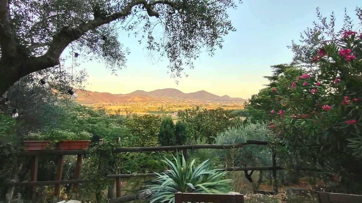 The image captures a serene view of the surrounding hills and countryside, framed by olive trees and colorful flowering plants. In the foreground, a wooden table is partially visible, accompanied by potted plants. The gentle slopes of the hills rise in the distance under a clear sky.