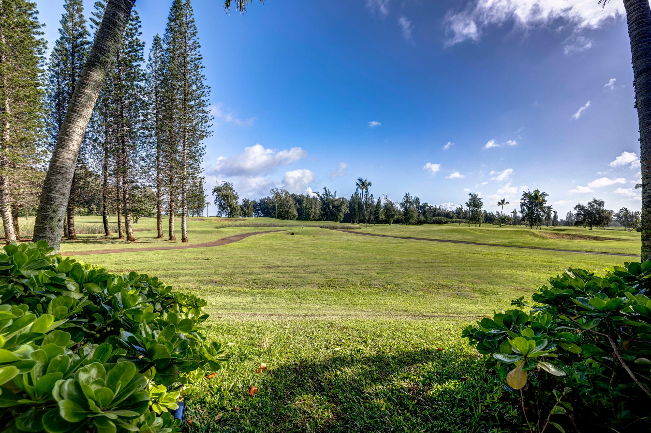 Condo in Kahuku · ★4.93 · 1 bedroom · 1 bed · 1 shared bath - Image 6