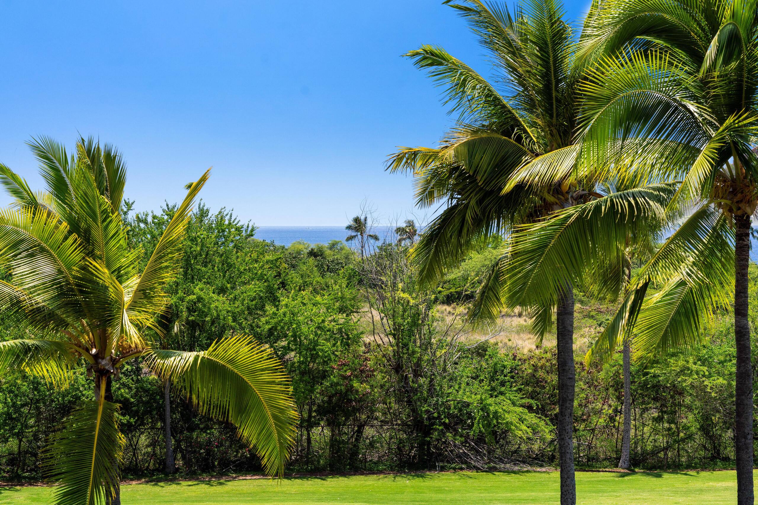 Condo in Kailua-Kona · ★4.41 · 3 bedrooms · 5 beds · 3 shared baths - Image 39