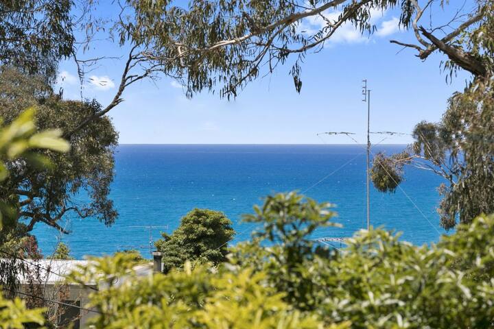 Avirgonia gallery image 3