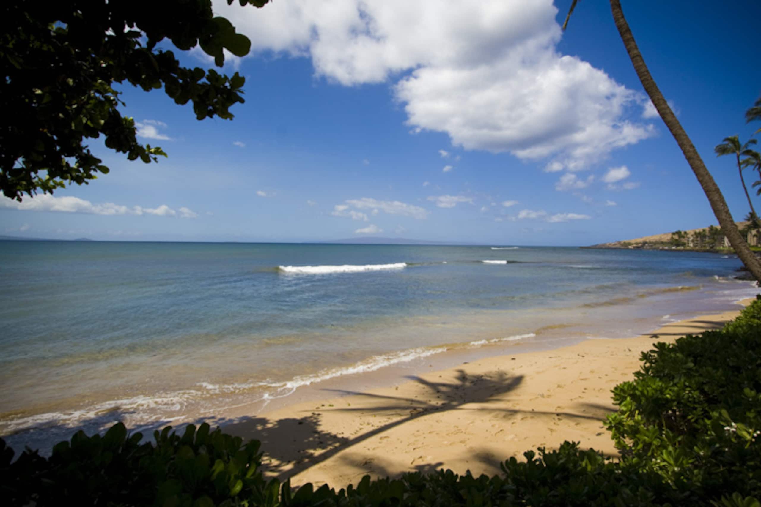 Condo in Wailuku · ★4.79 · 2 bedrooms · 3 beds · 2 baths - Image 40