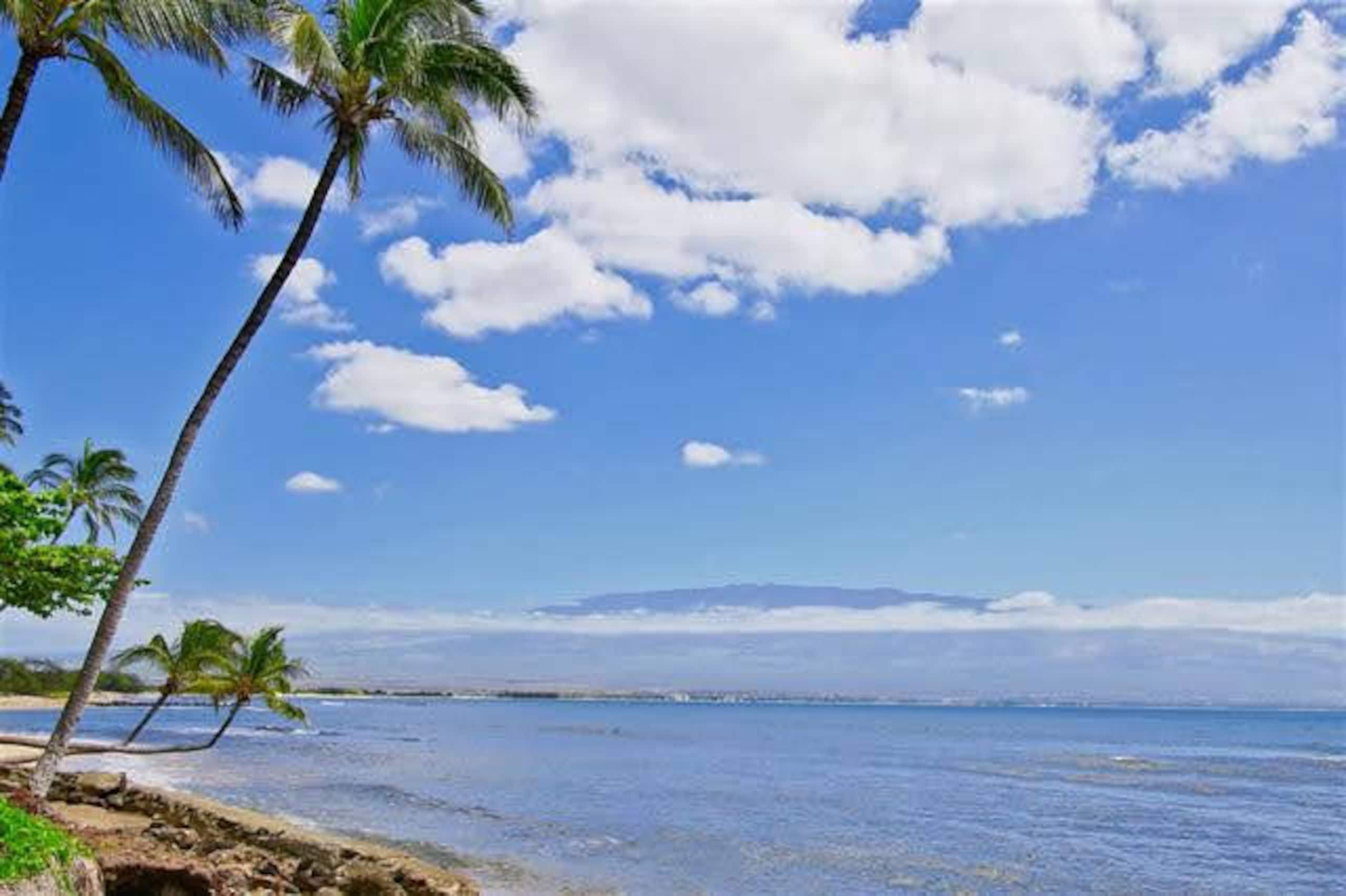 Condo in Wailuku · ★4.79 · 2 bedrooms · 3 beds · 2 baths - Image 38