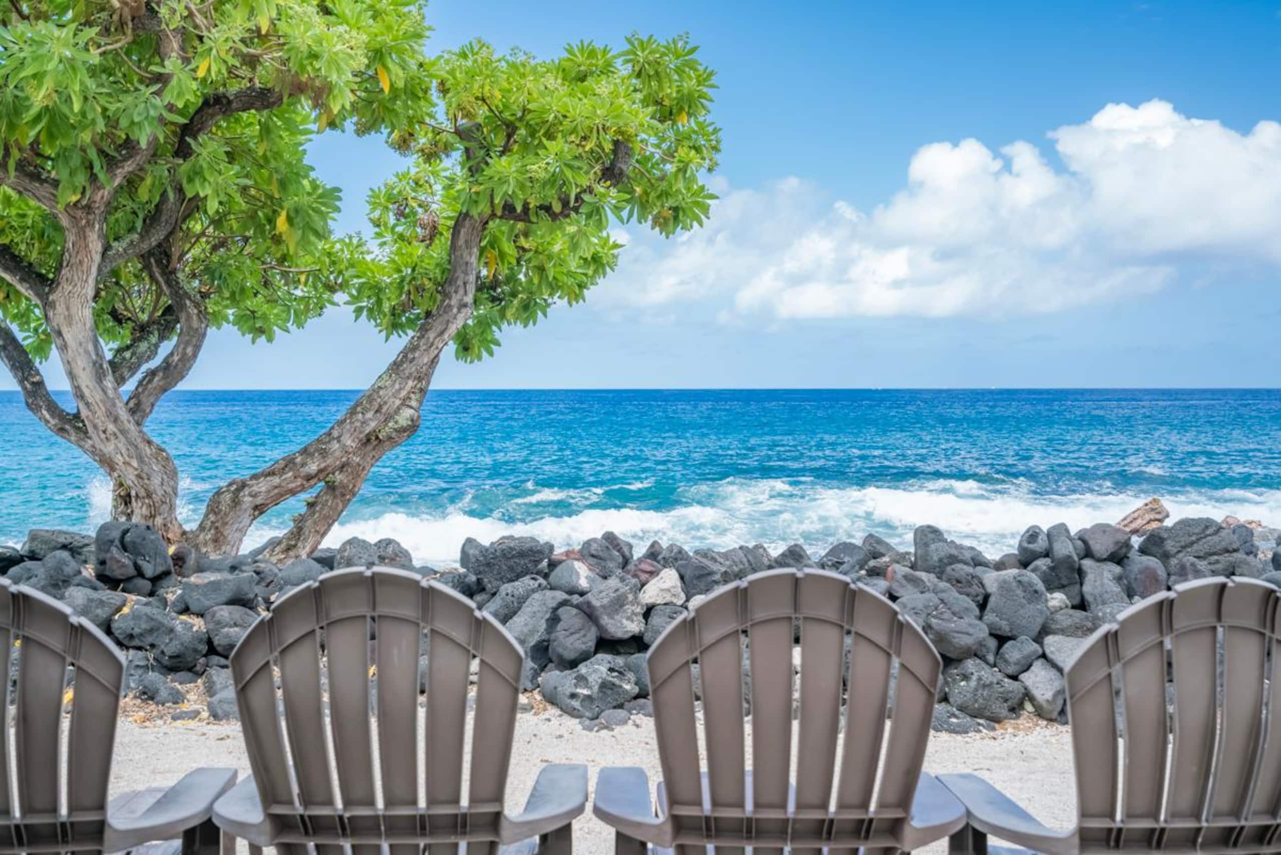 Condo in Kailua-Kona · ★5.0 · 1 bedroom · 2 beds · 1 private bath - Image 18