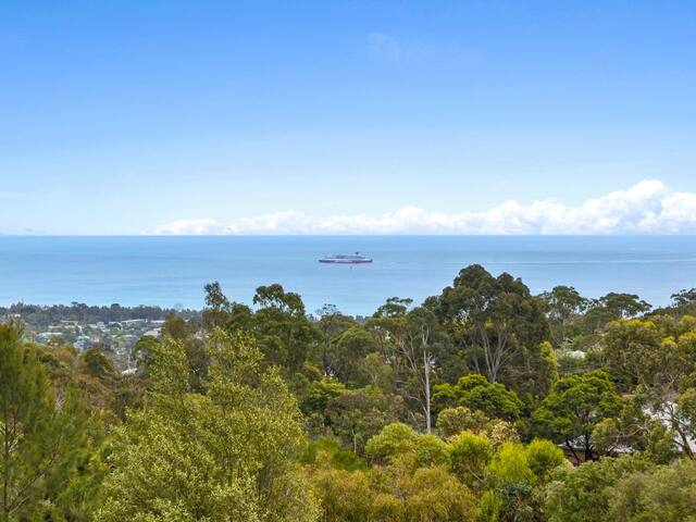 McCrae Views – 4 Bedroom Holiday House gallery image 5