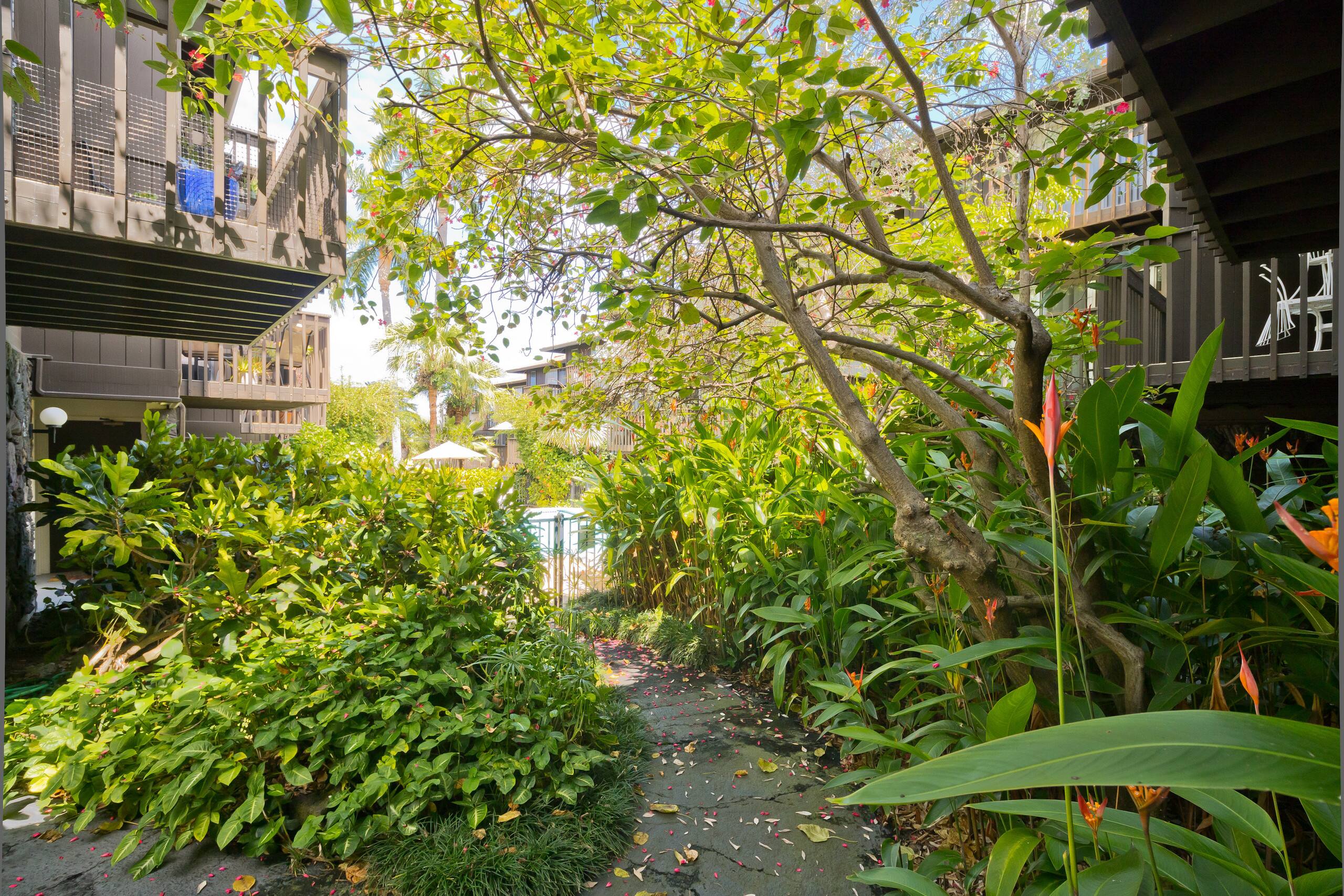 Condo in Kailua-Kona · ★4.81 · 1 bedroom · 2 beds · 1.5 private baths - Image 33