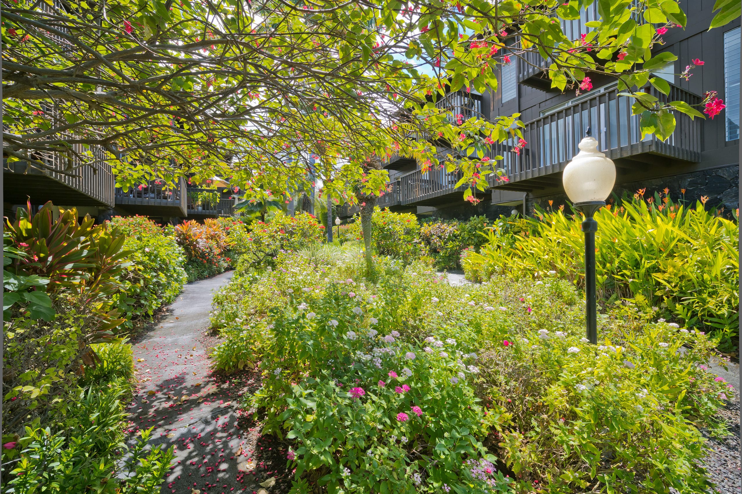 Condo in Kailua-Kona · ★4.81 · 1 bedroom · 2 beds · 1.5 private baths - Image 28