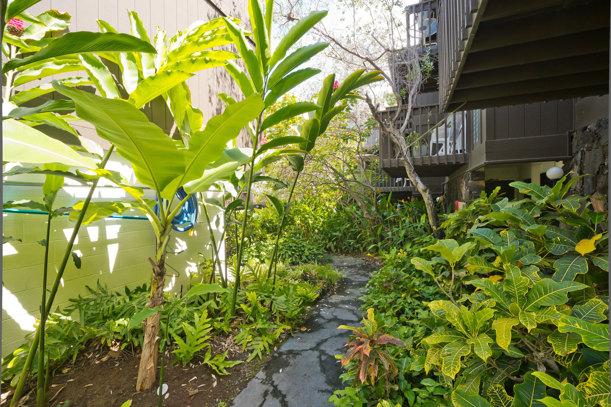 Condo in Kailua-Kona · ★4.81 · 1 bedroom · 2 beds · 1.5 private baths - Image 34