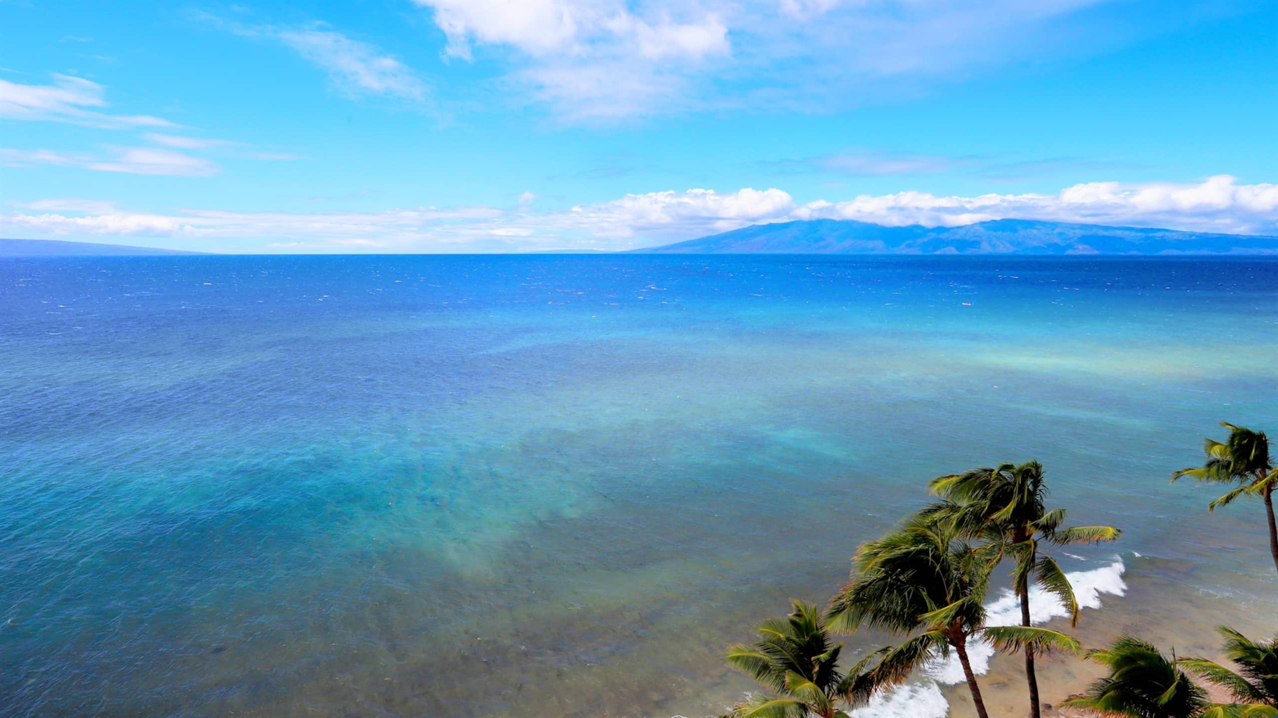 Condo in Lahaina · ★5.0 · Studio · 2 beds · 1 bath - Image 26