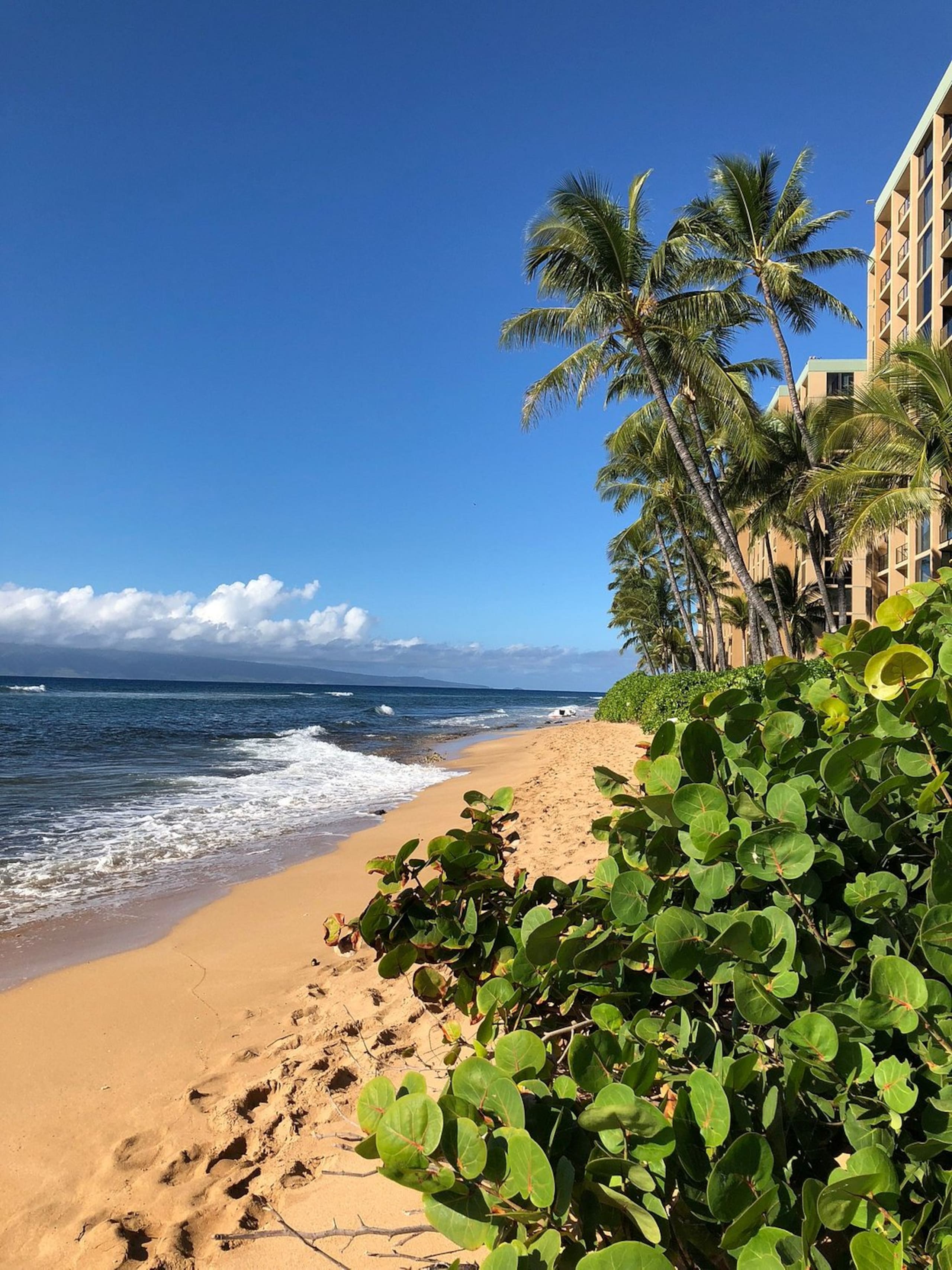 Condo in Lahaina · ★5.0 · Studio · 2 beds · 1 bath - Image 28
