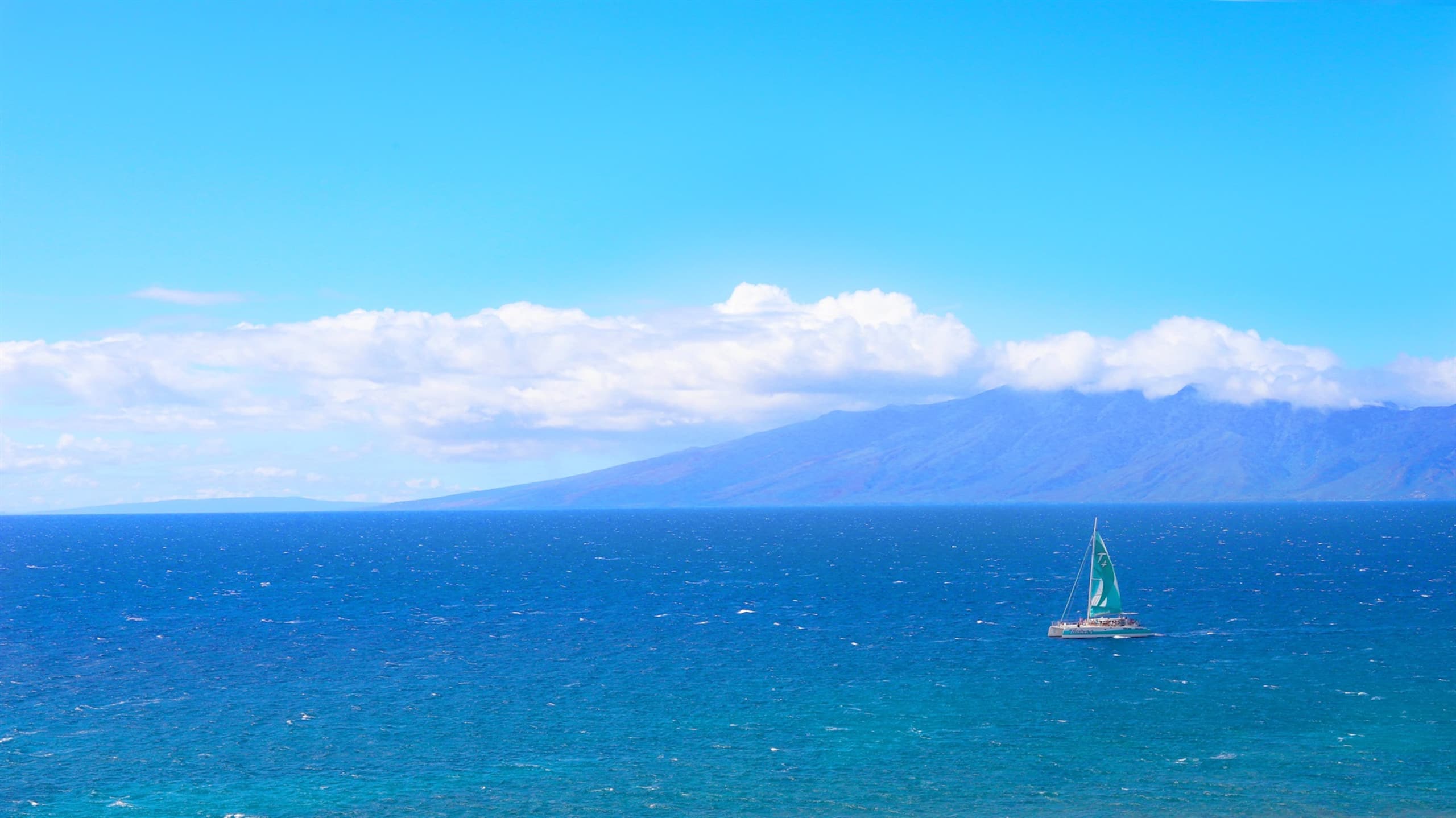Condo in Lahaina · ★5.0 · Studio · 2 beds · 1 bath - Image 25