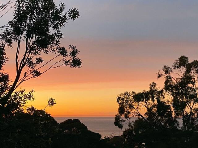 Vacation Mode gallery image 4