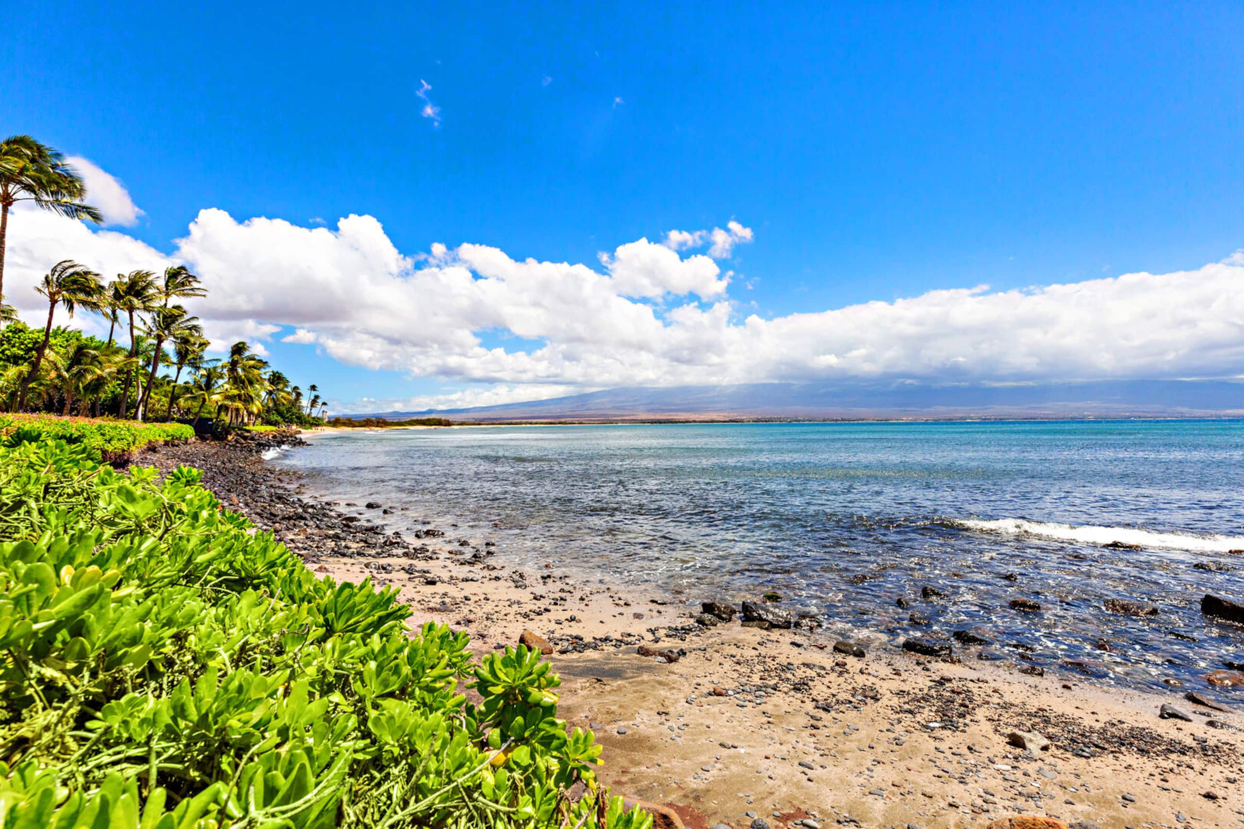 Condo in Wailuku · ★4.86 · 1 bedroom · 2 beds · 1 private bath - Image 32