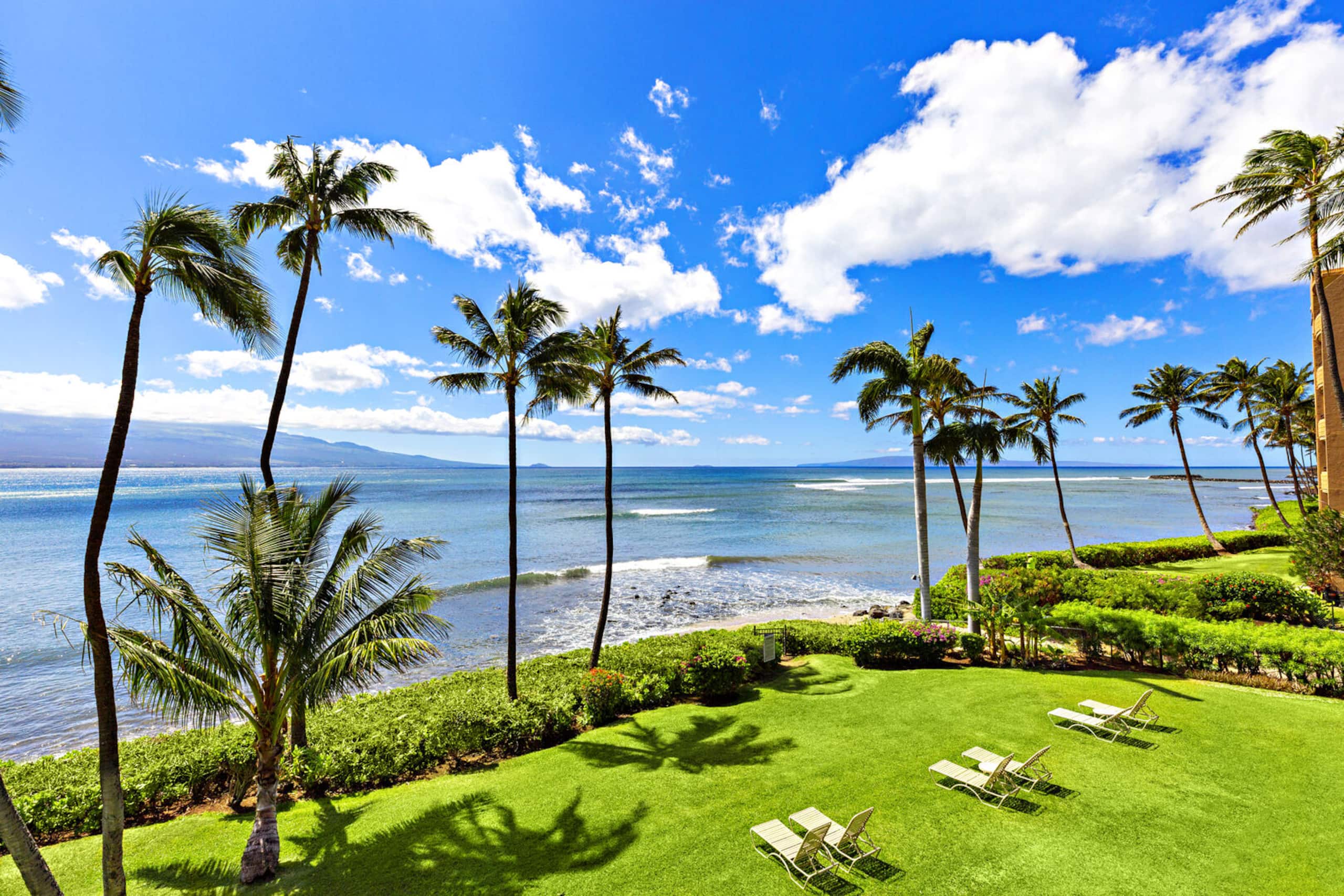 Condo in Wailuku · ★4.86 · 1 bedroom · 2 beds · 1 private bath - Image 5