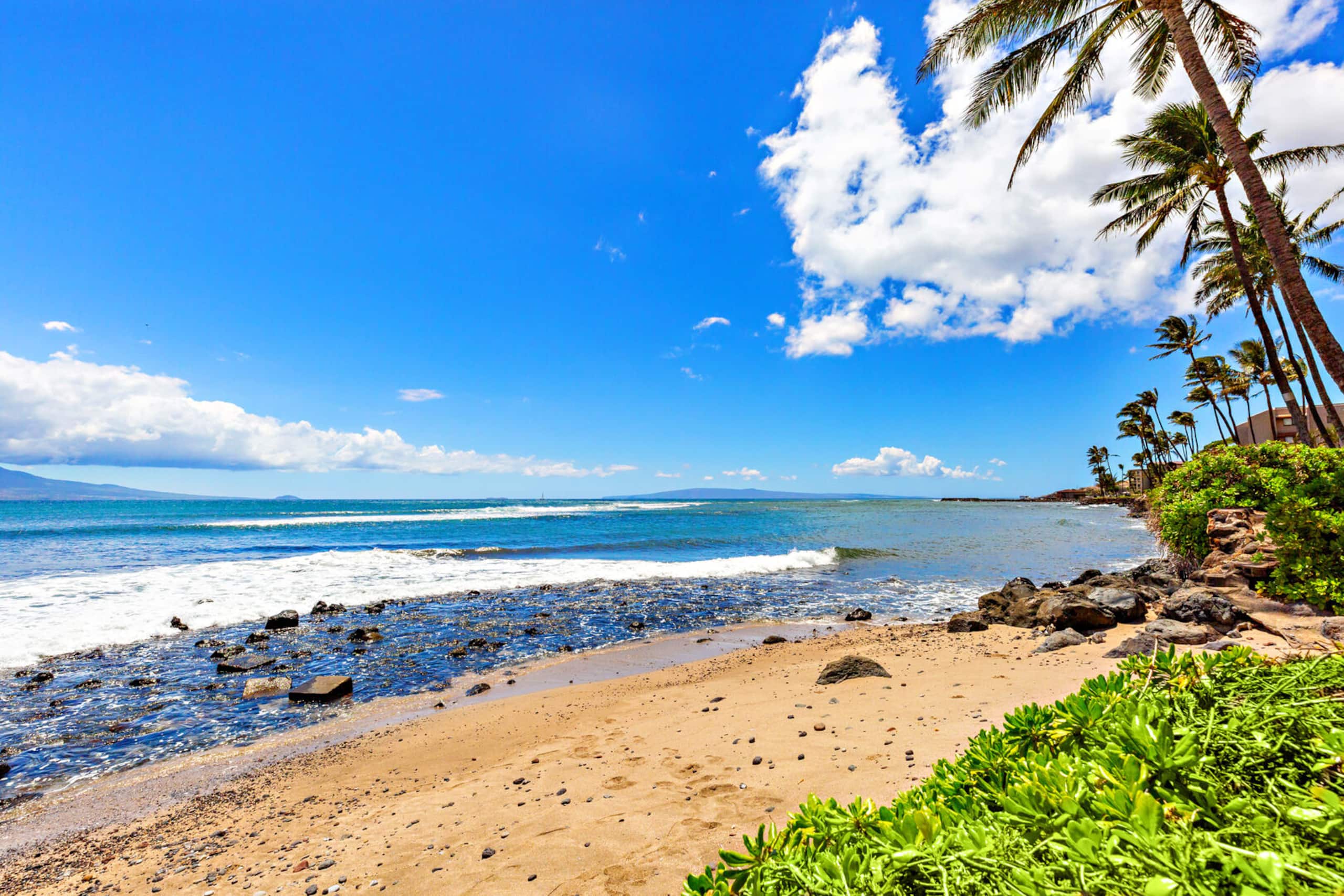Condo in Wailuku · ★4.86 · 1 bedroom · 2 beds · 1 private bath - Image 31