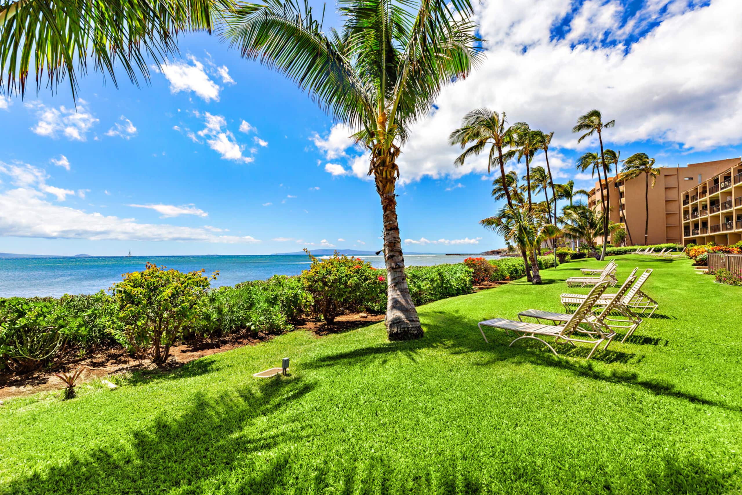 Condo in Wailuku · ★4.86 · 1 bedroom · 2 beds · 1 private bath - Image 28