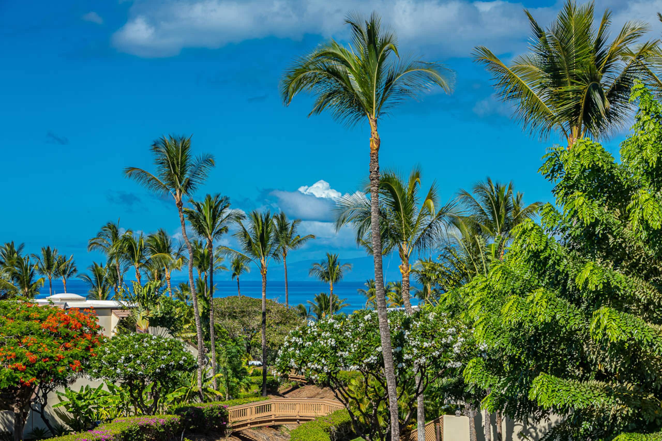 Condo in Kihei · ★4.74 · 2 bedrooms · 4 beds · 2 shared baths - Image 46