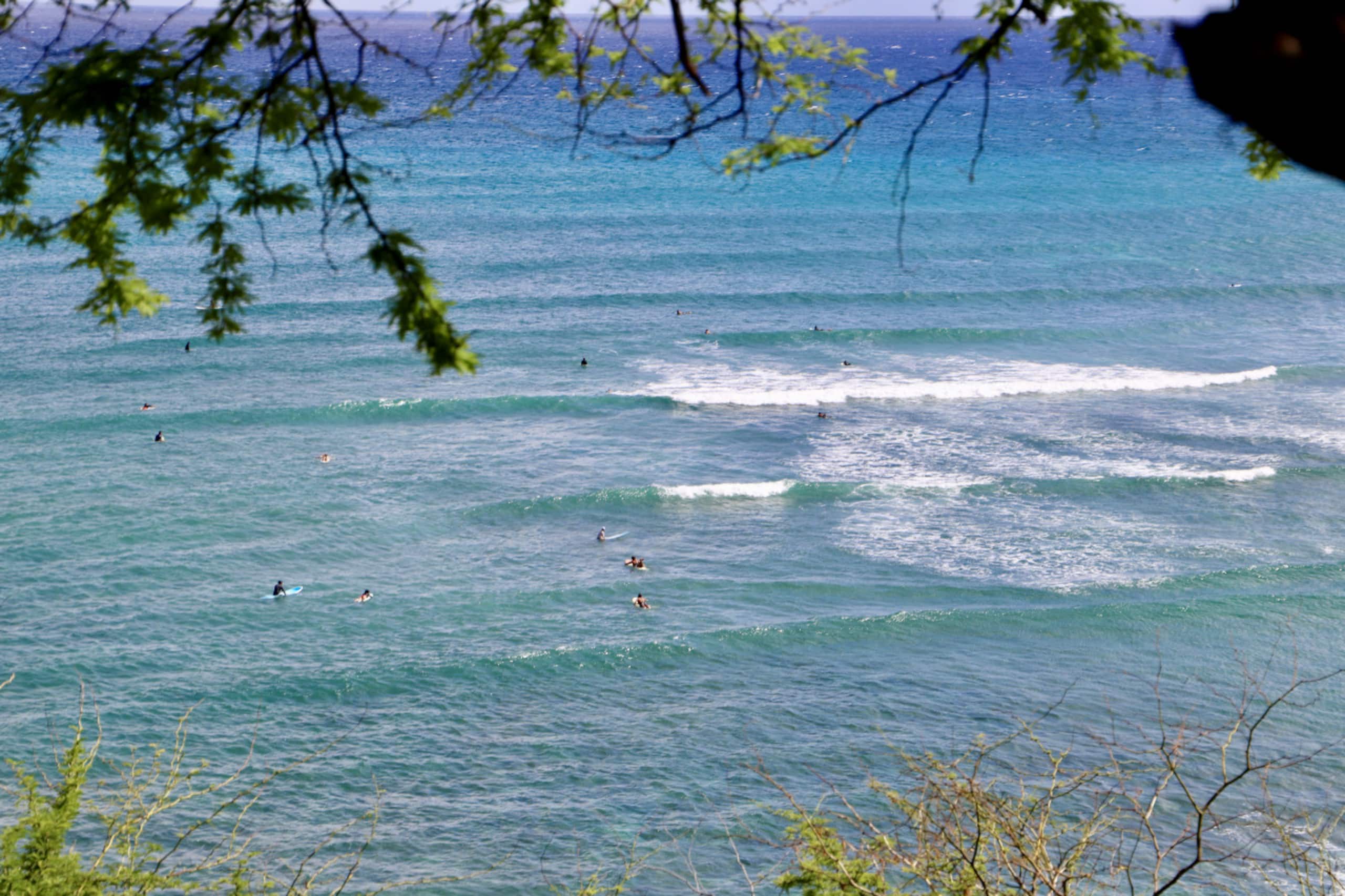 Condo in Honolulu · ★4.76 · 1 bedroom · 1 bed · 1 shared bath - Image 45