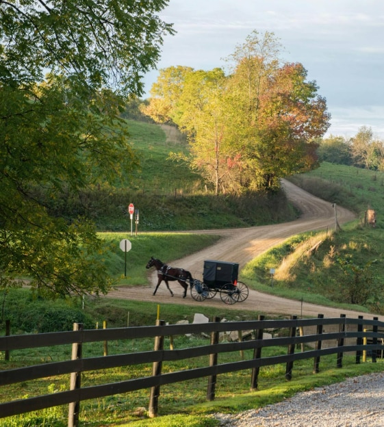 A horse-drawn buggy travels along a winding dirt road, surrounded by greenery and autumn-colored trees. A wooden fence lines the foreground, and a stop sign is visible along the path, contributing to a peaceful rural setting.