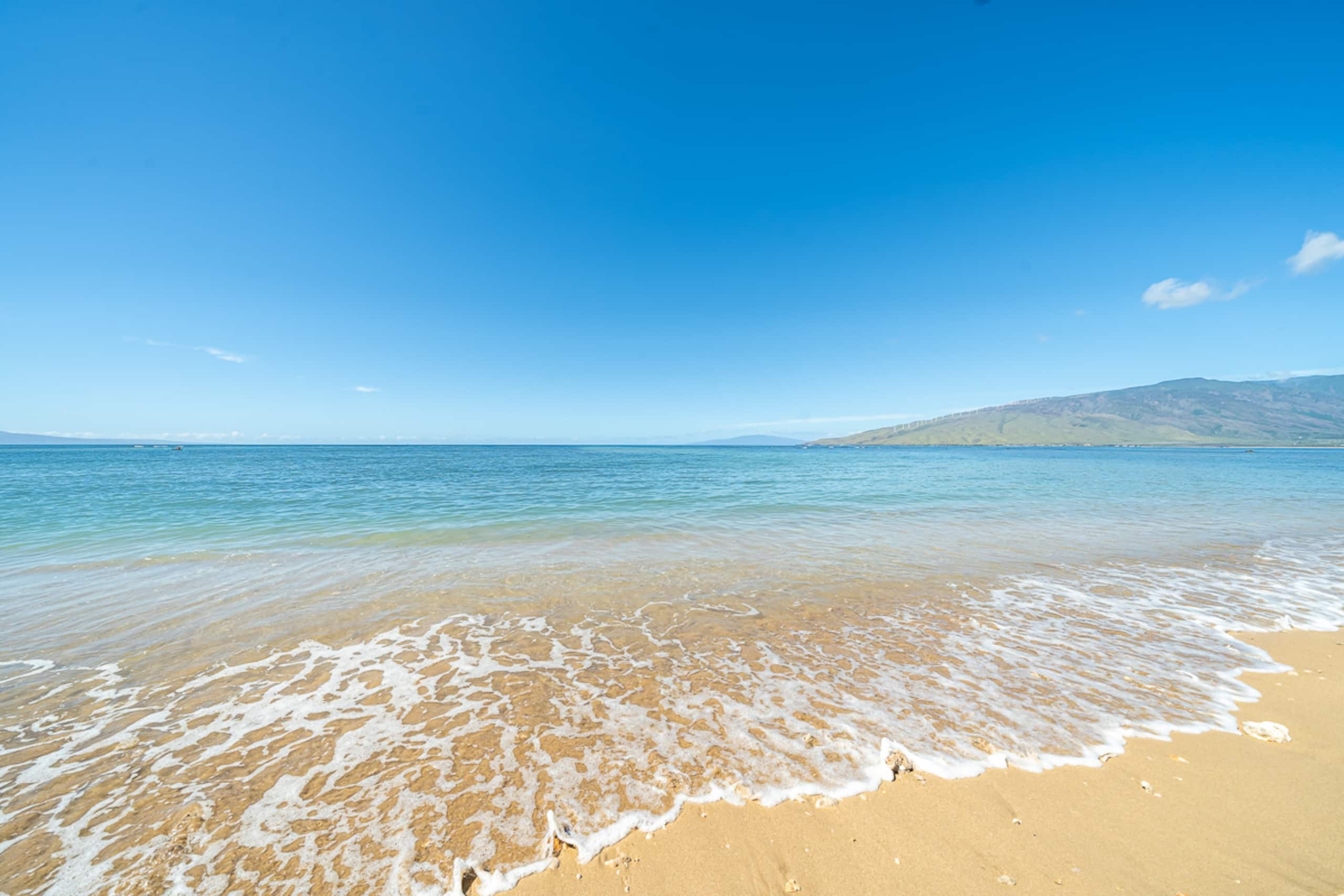 Condo in Kihei · ★4.5 · Studio · 2 beds · 1 bath - Image 49
