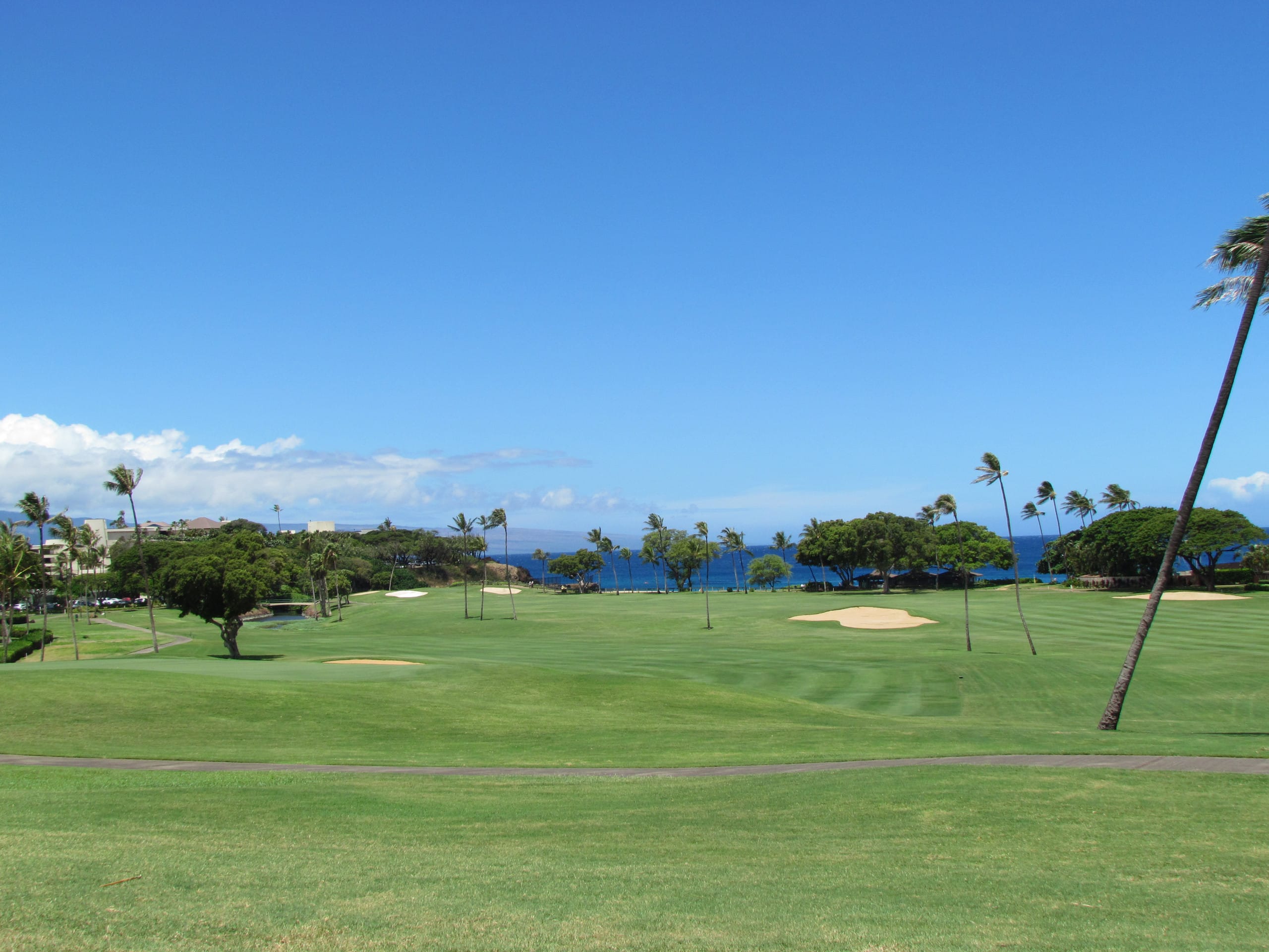 Condo in Lahaina · ★5.0 · 2 bedrooms · 3 beds · 2 baths - Image 39
