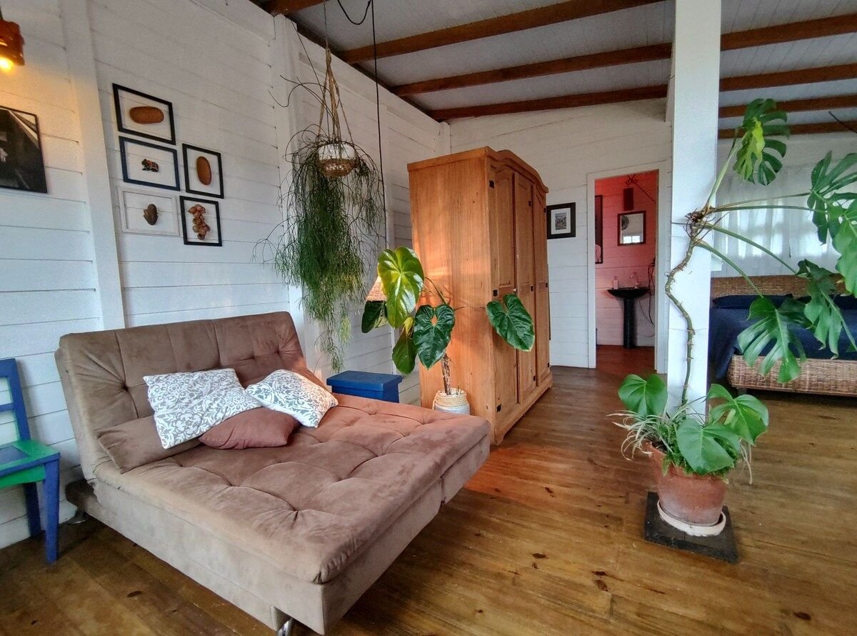 A spacious living area features a comfortable sofa bed adorned with pillows, accompanied by potted plants for a touch of nature. Natural light streams through large windows, highlighting the warm wooden floor. An open wardrobe stands nearby, adding to the cozy atmosphere.