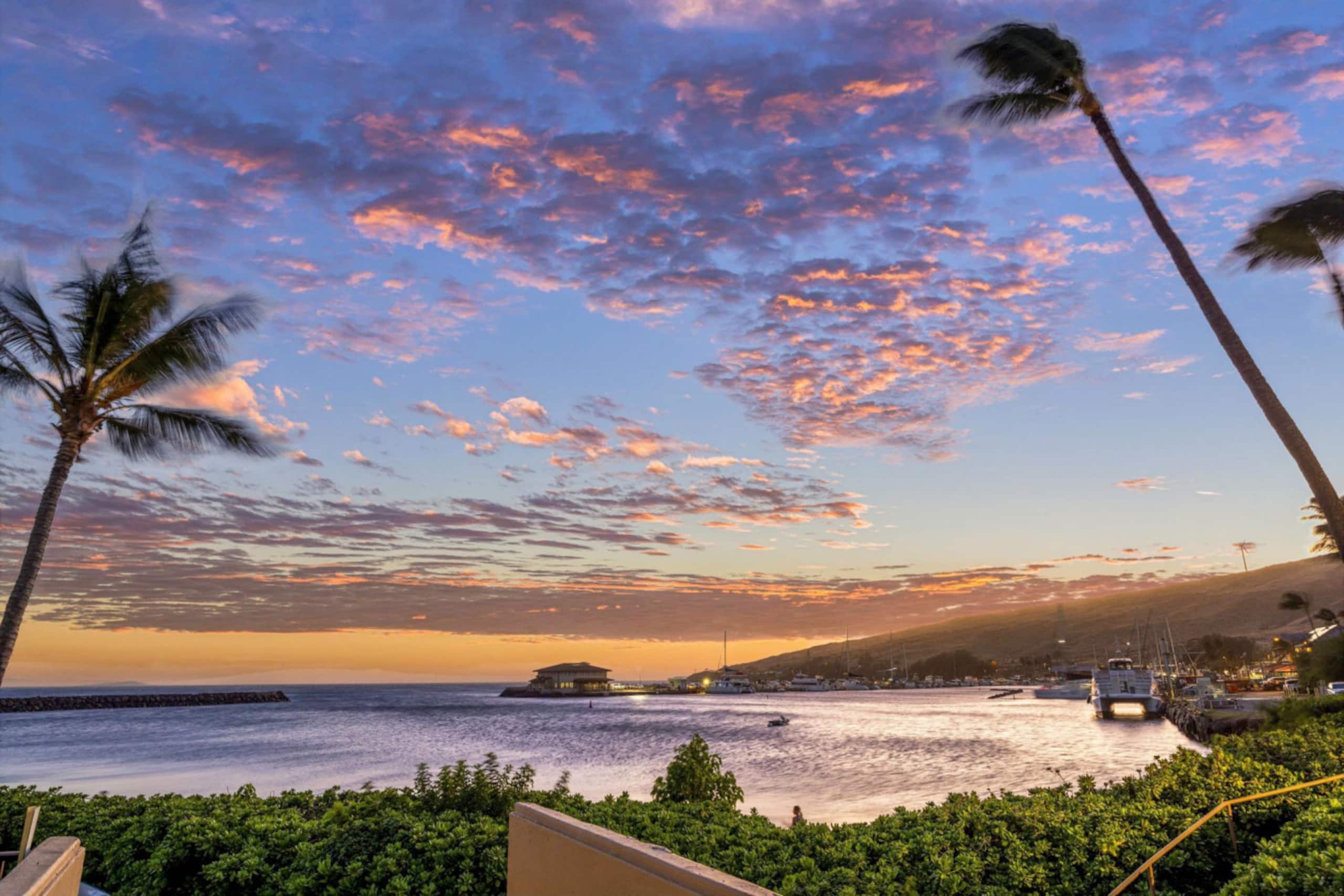 Condo in Wailuku · ★4.81 · 1 bedroom · 2 beds · 1 bath - Image 33