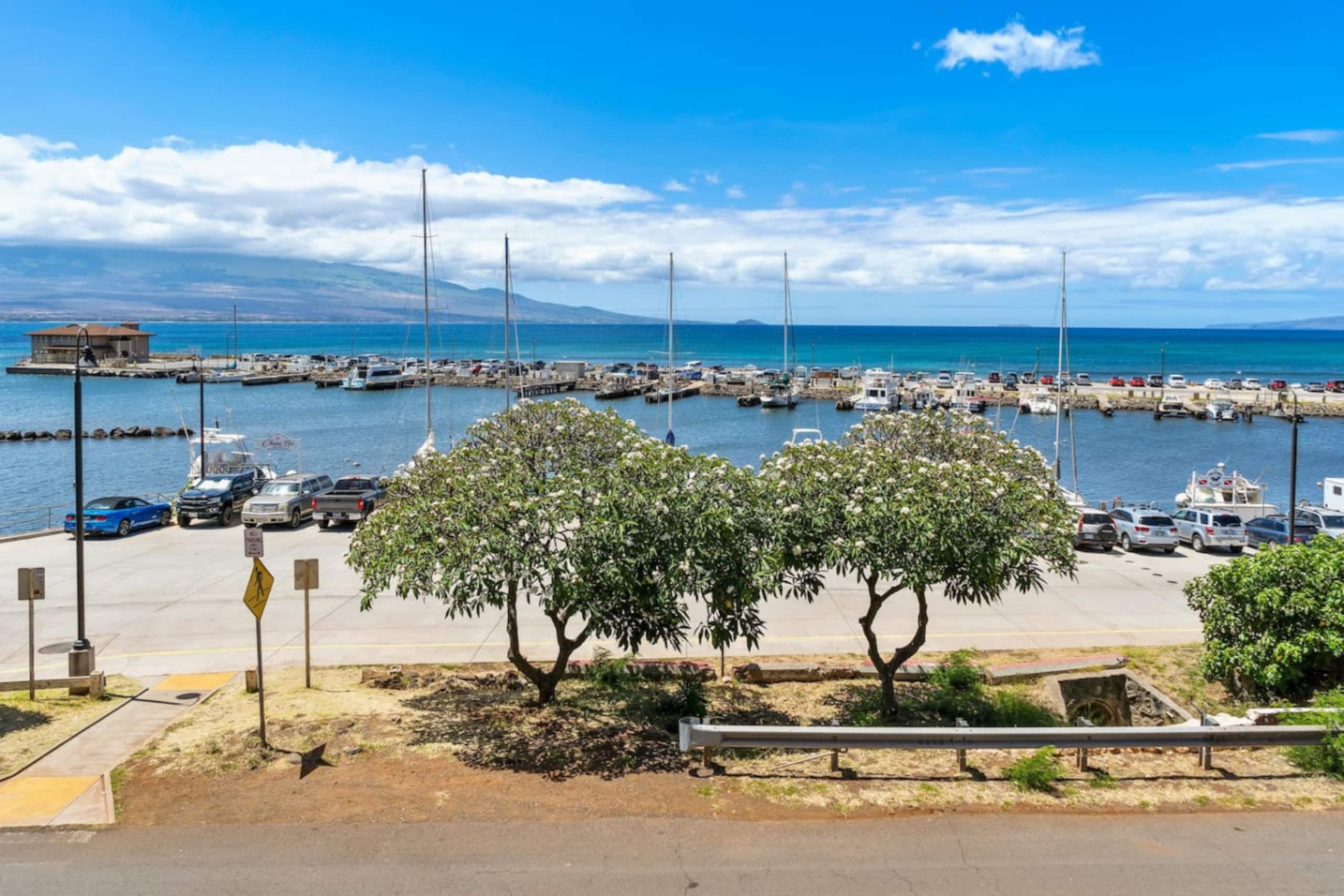 Condo in Wailuku · ★4.81 · 1 bedroom · 2 beds · 1 bath - Image 43