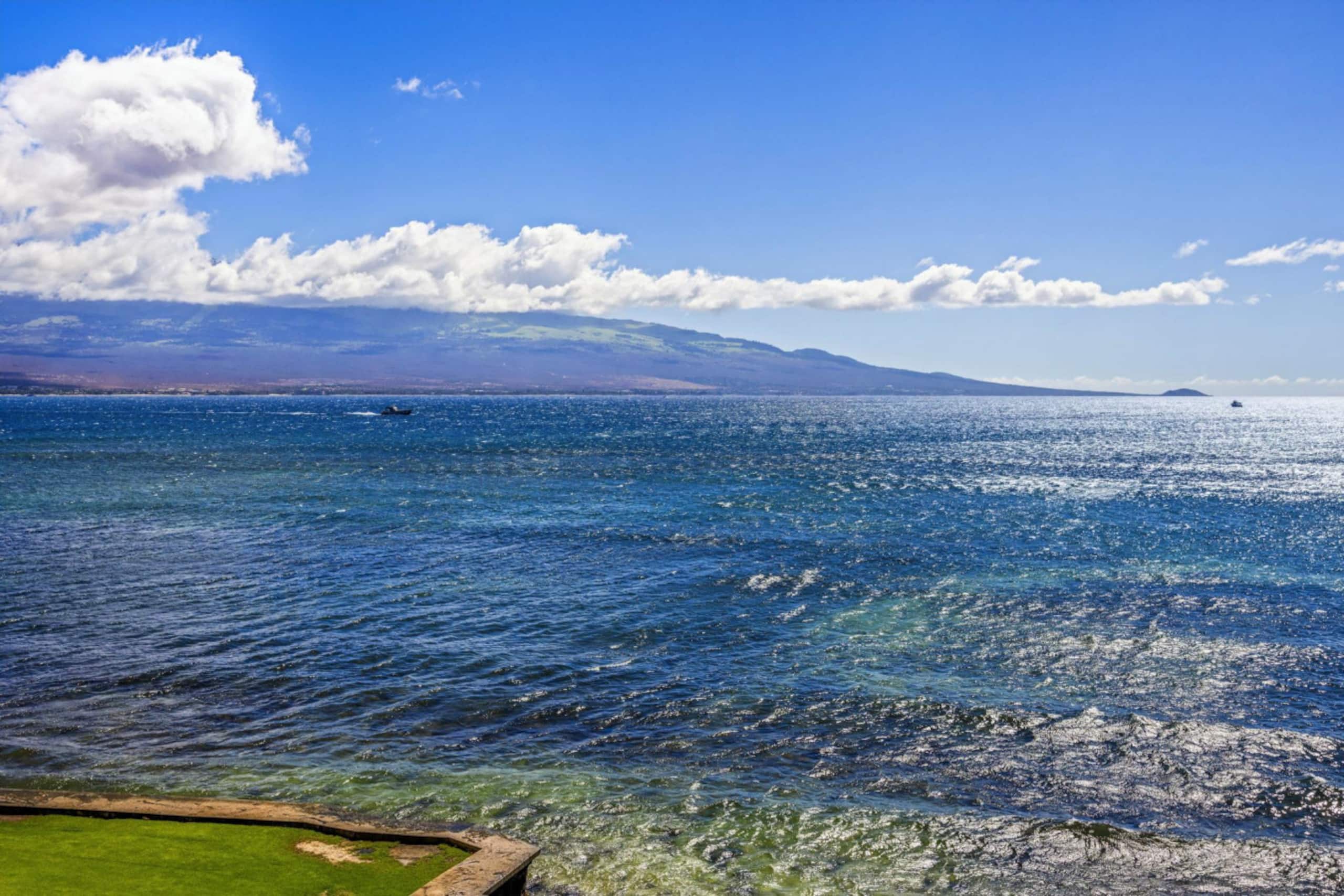 Condo in Wailuku · ★4.81 · 1 bedroom · 2 beds · 1 bath - Image 38