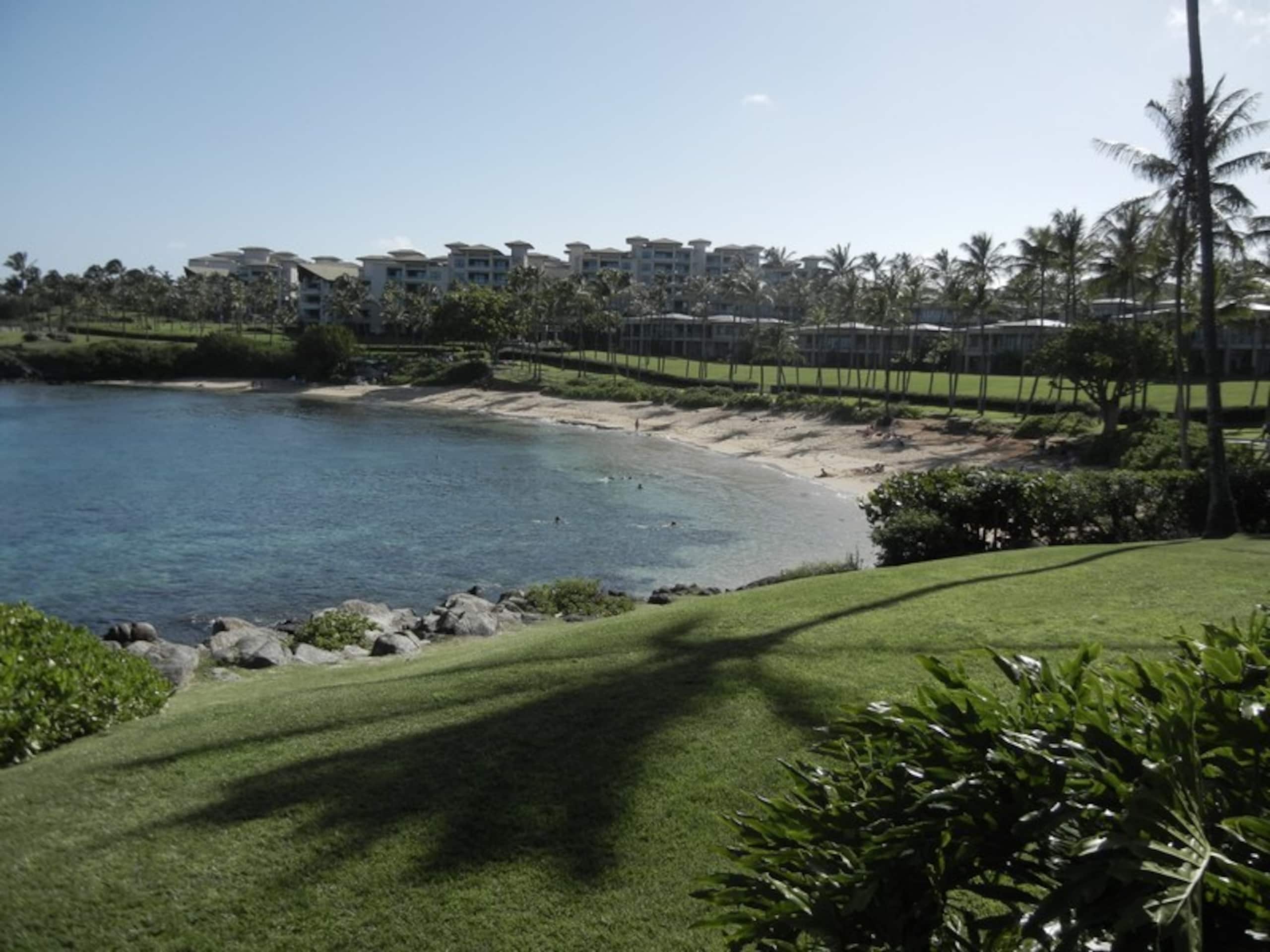 Condo in Lahaina · ★4.7 · 1 bedroom · 1 bed · 1 bath - Image 116