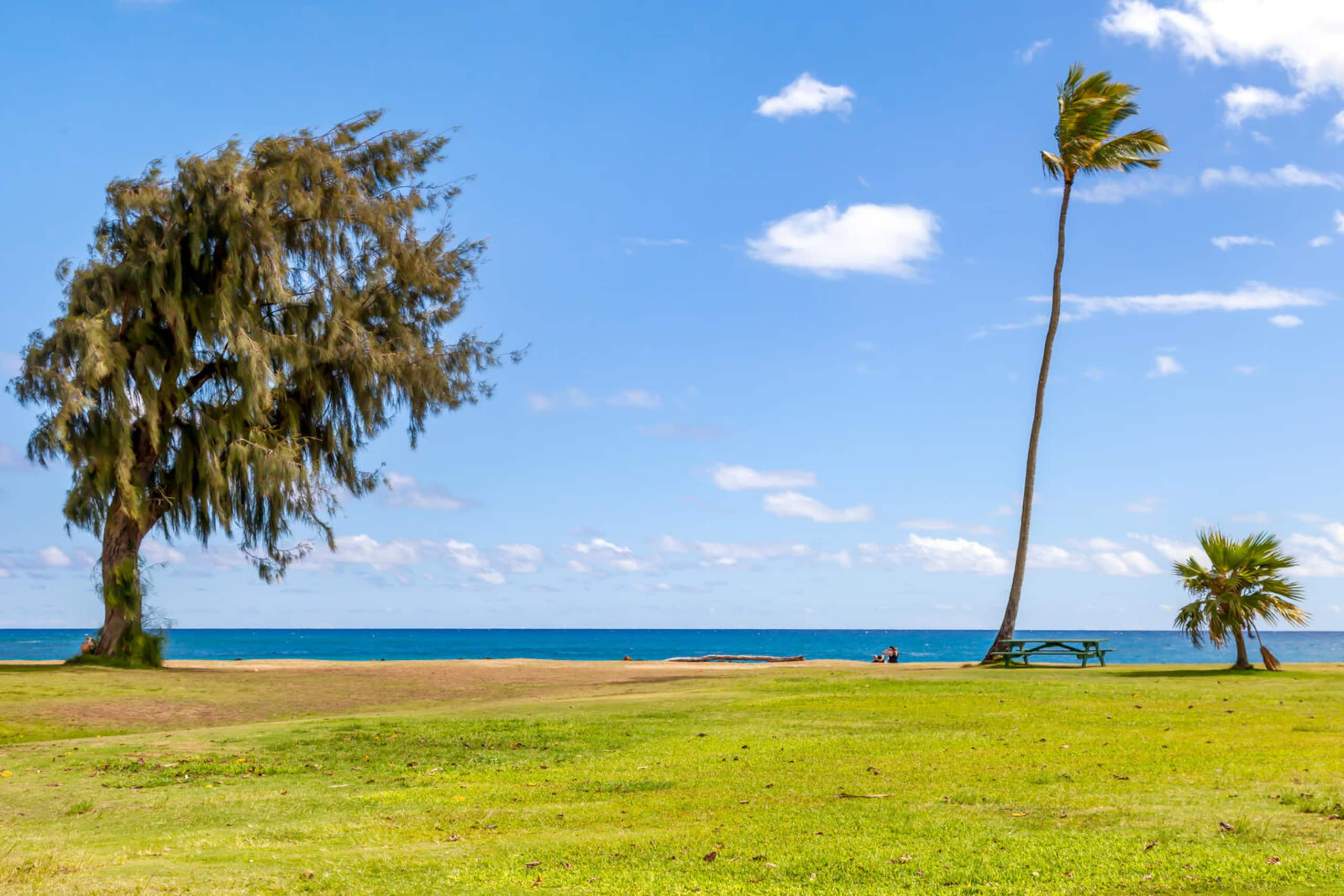 koolkondo Springwater 3 bedroom Ocean Front Home - Image 19
