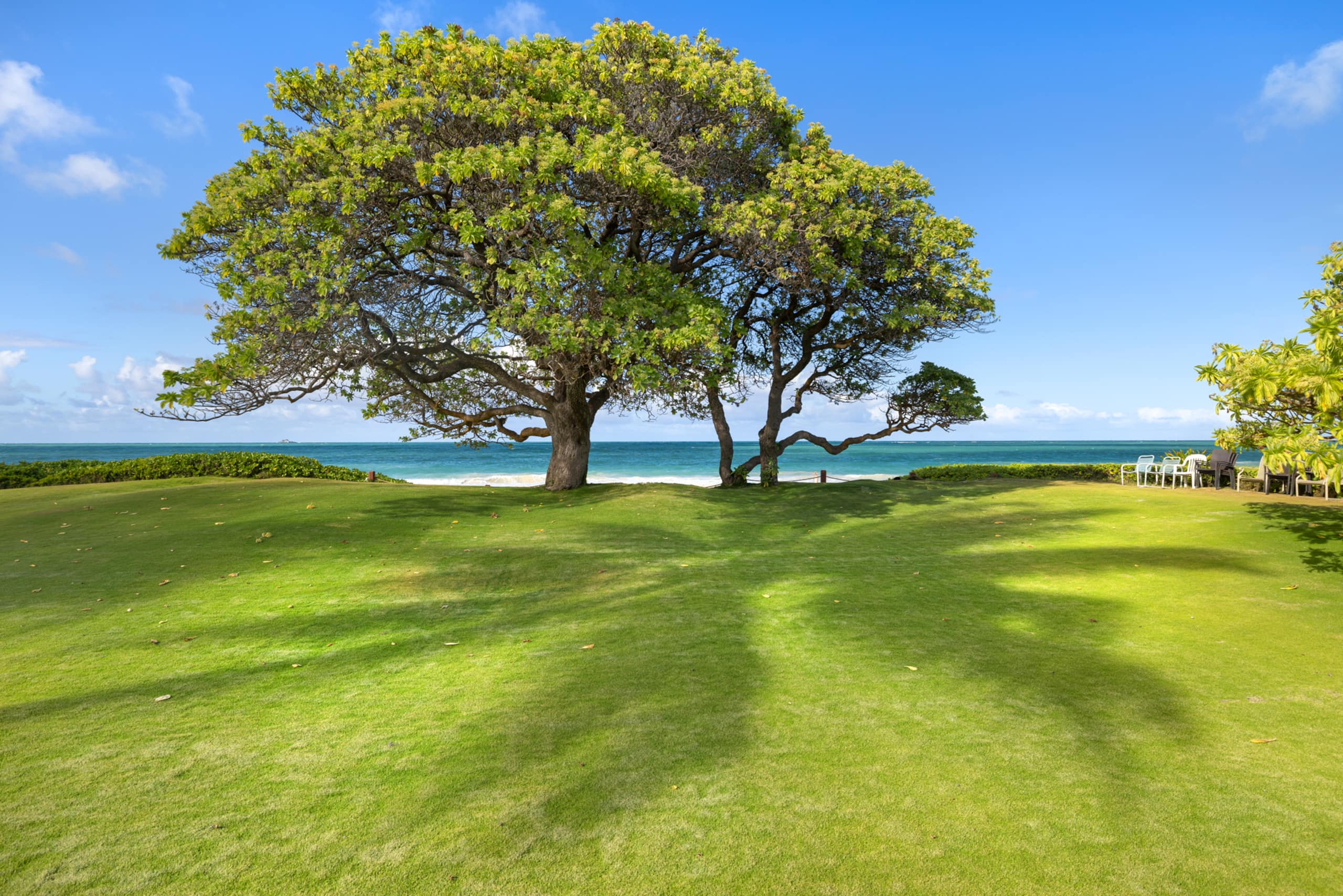 Home in Kailua · ★5.0 · 3 bedrooms · 6 beds · 3 private baths - Image 6