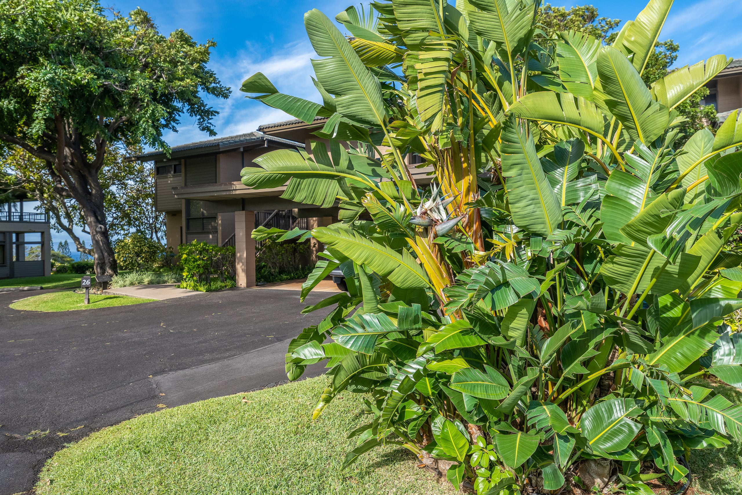 Condo in Lahaina · ★5.0 · 1 bedroom · 2 beds · 2 baths - Image 38