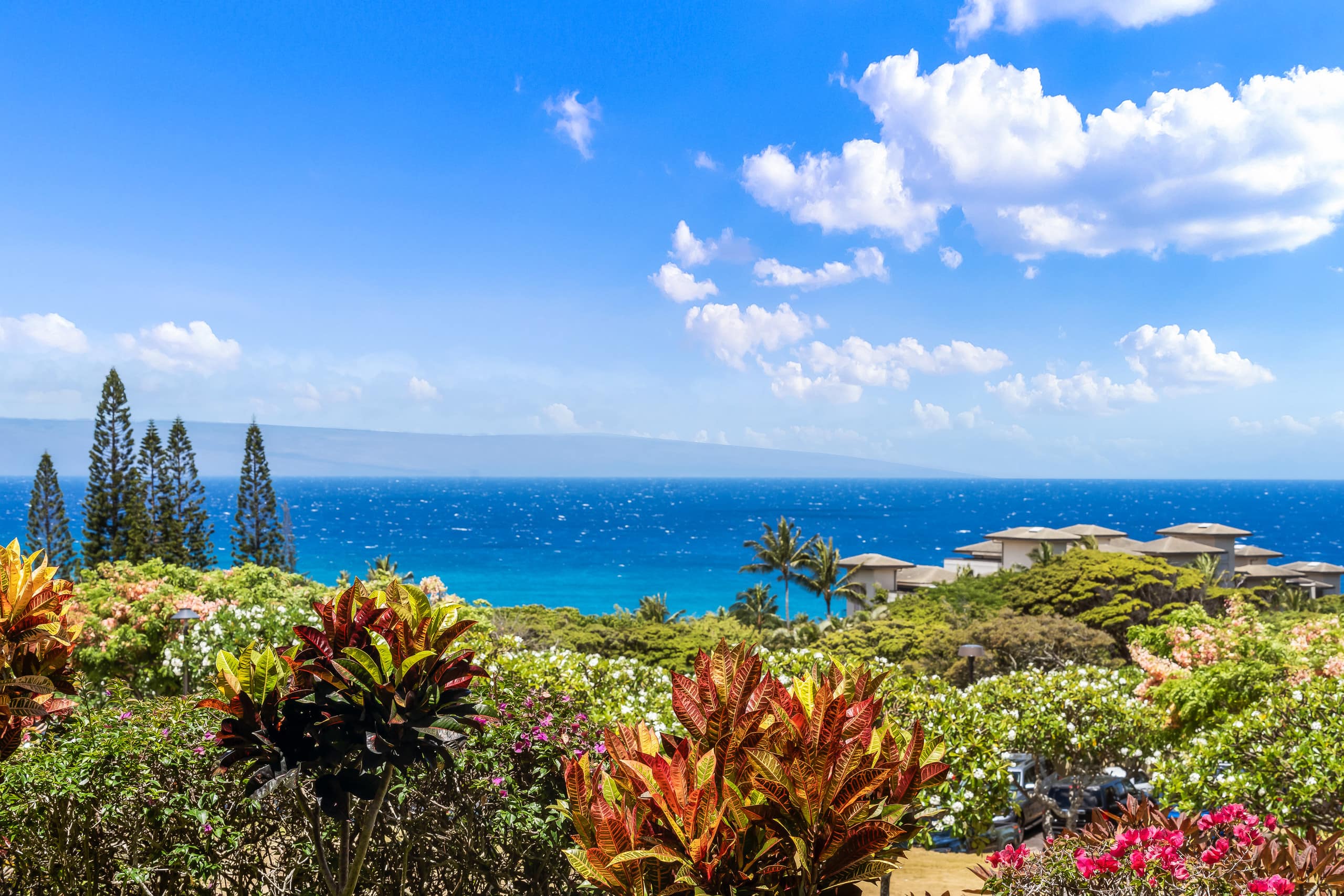 Condo in Lahaina · ★5.0 · 1 bedroom · 2 beds · 2 baths - Image 36