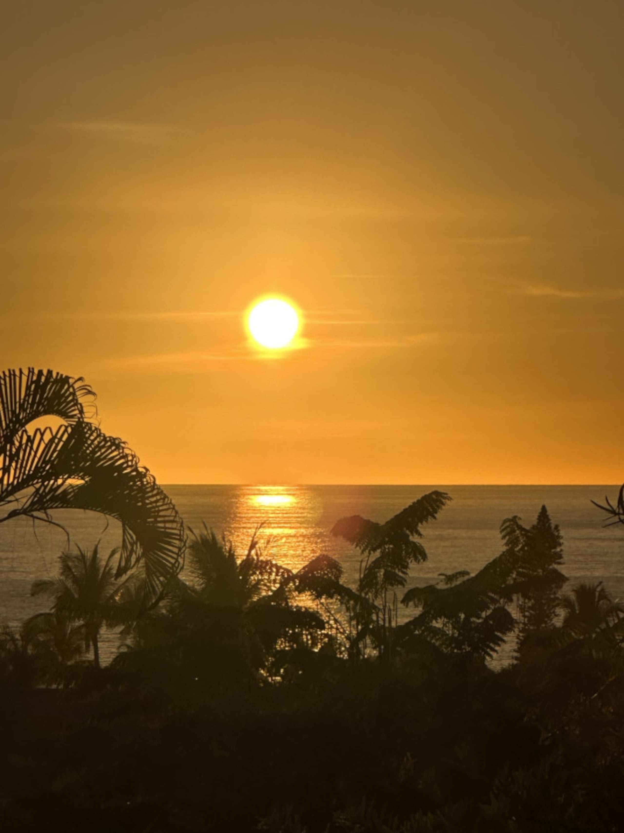 Condo in Kailua-Kona · ★4.87 · 3 bedrooms · 4 beds · 3 private baths - Image 37
